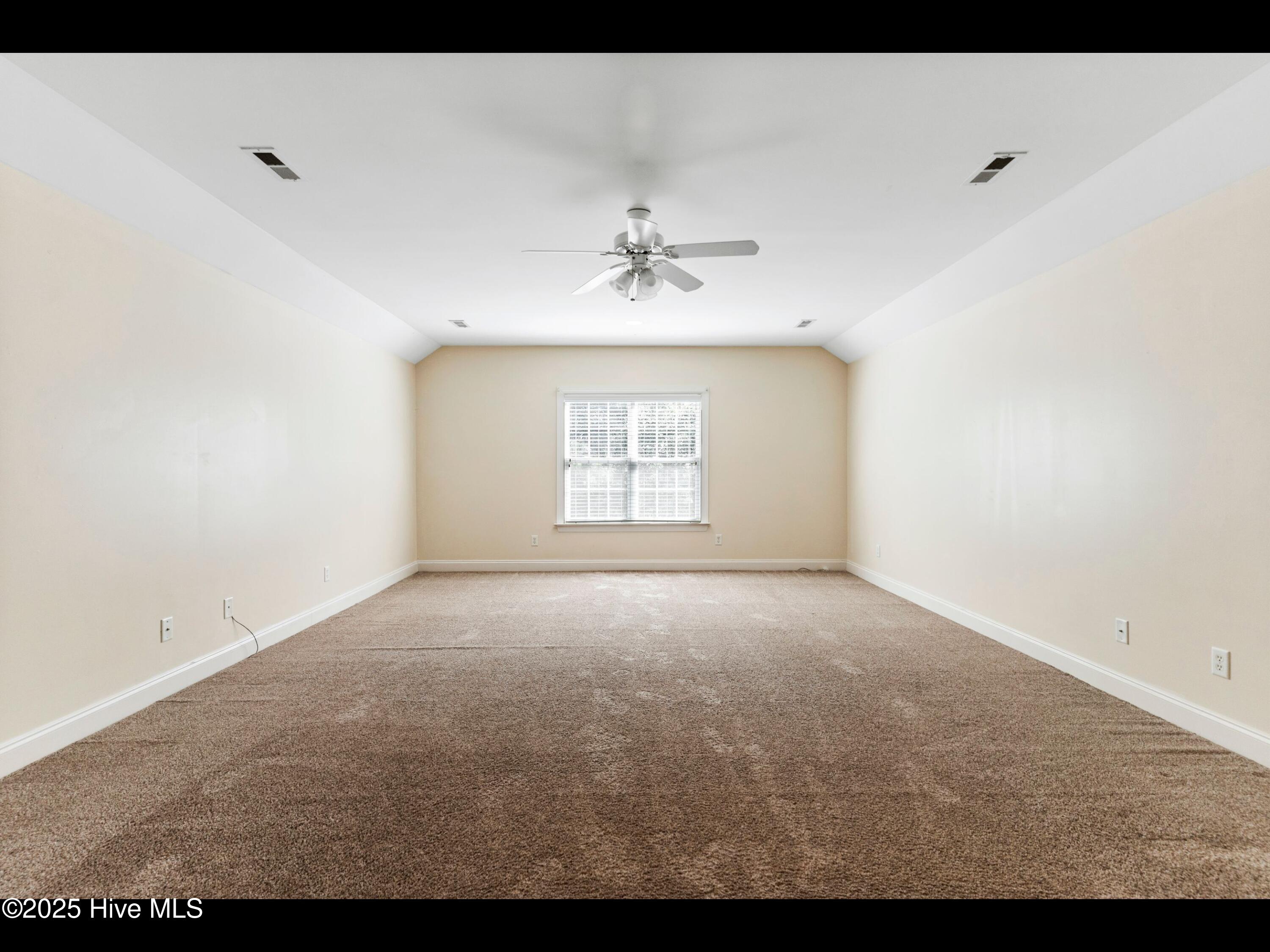 100509551 | Photo 28