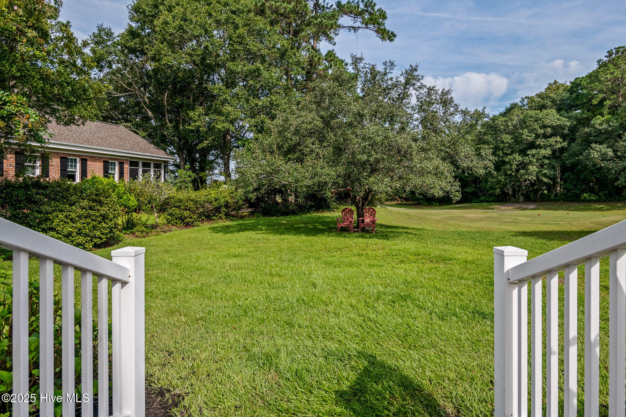 100528098 | Photo 37