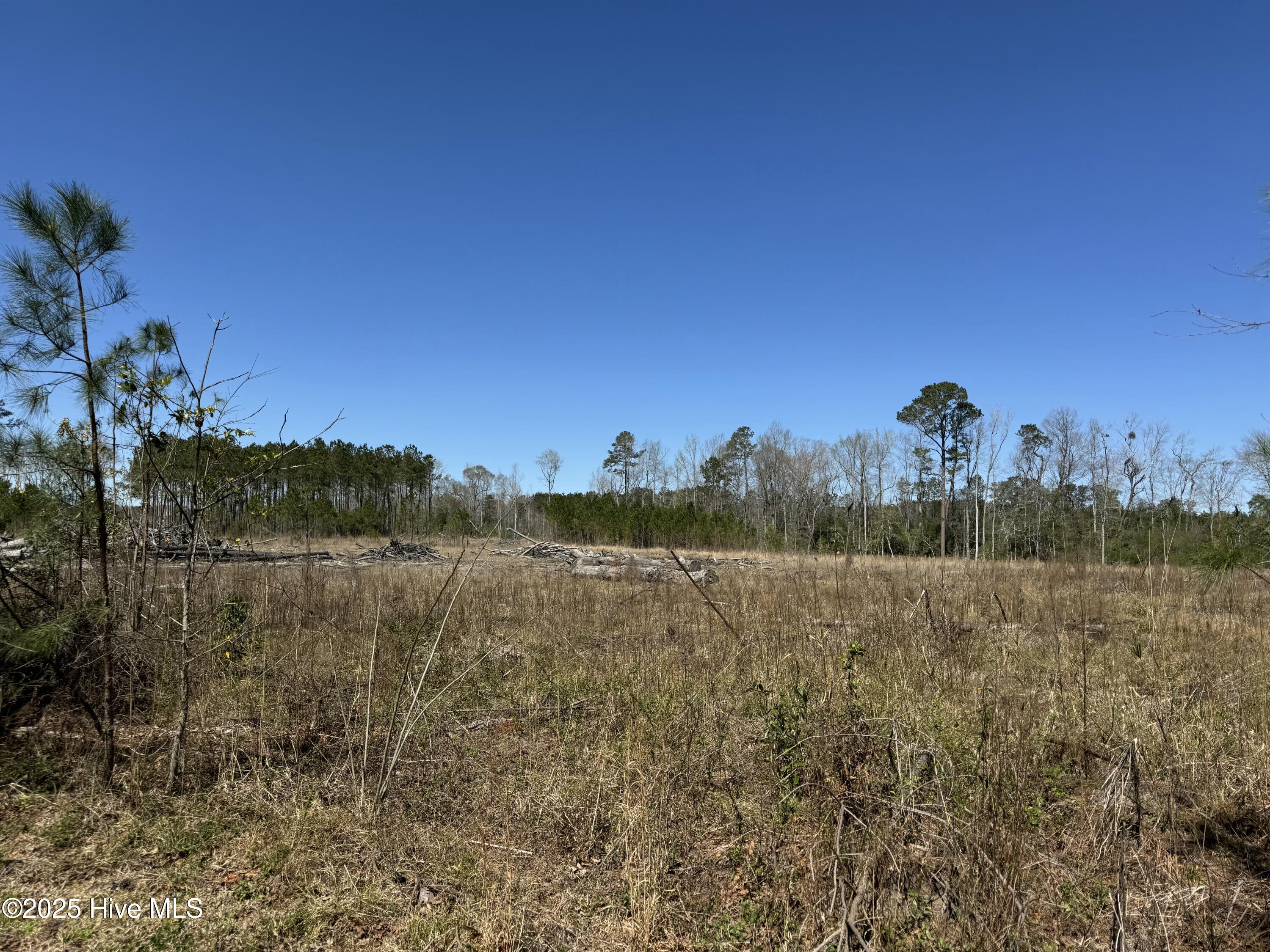 100507548 | Photo 18