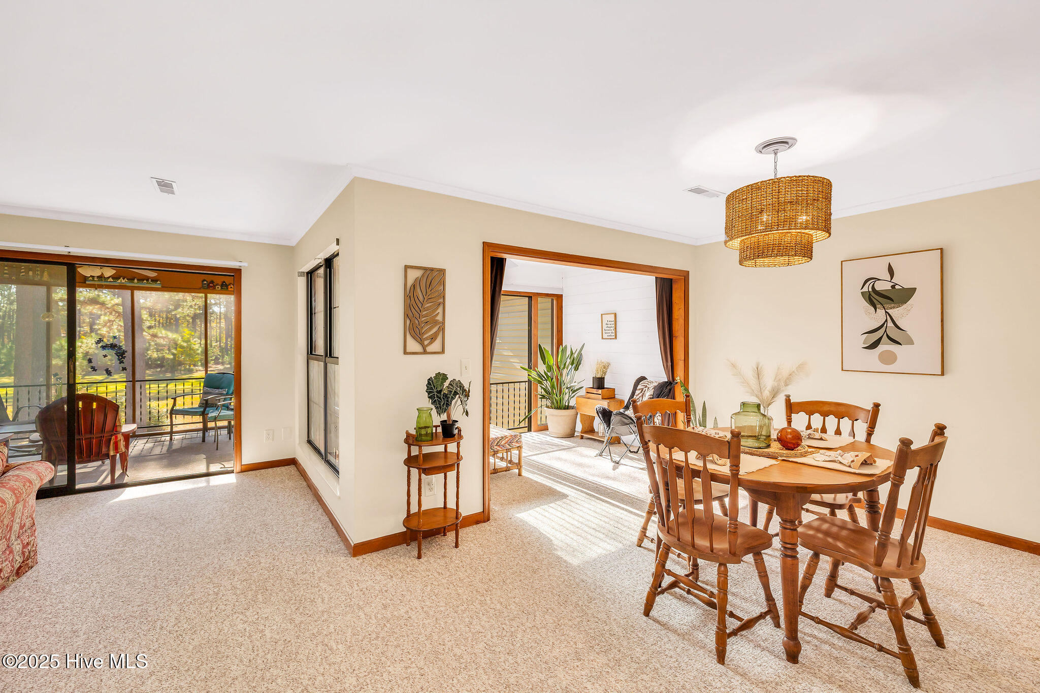 100541732 | Photo 13