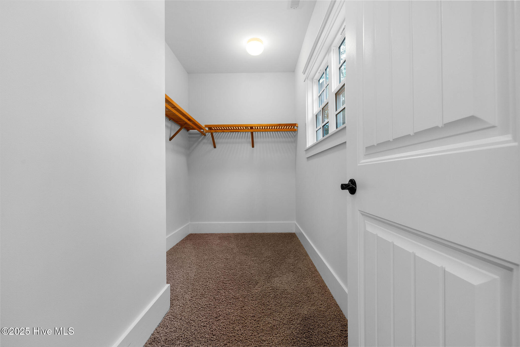 100536544 | Photo 51