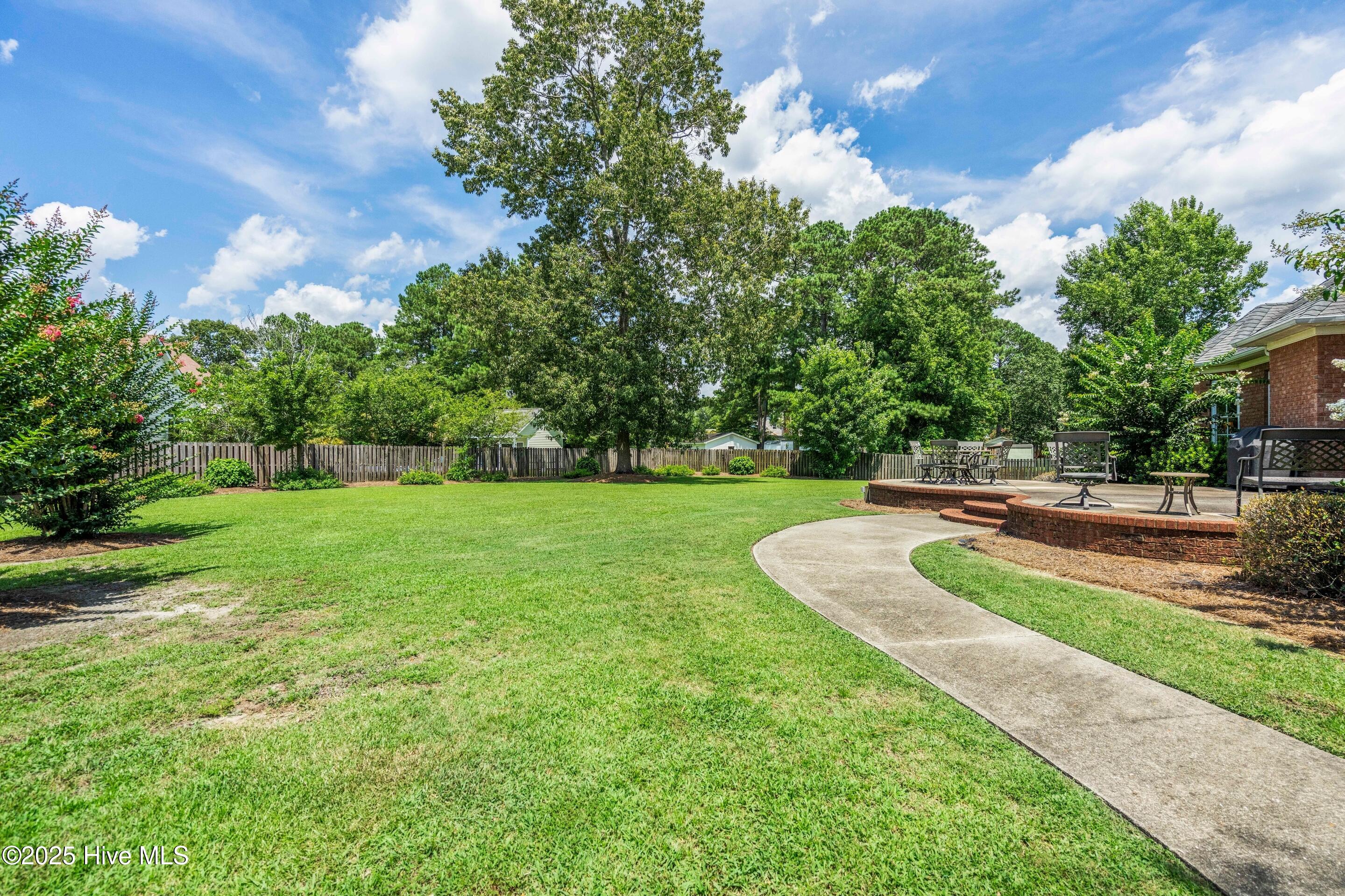 100518438 | Photo 67