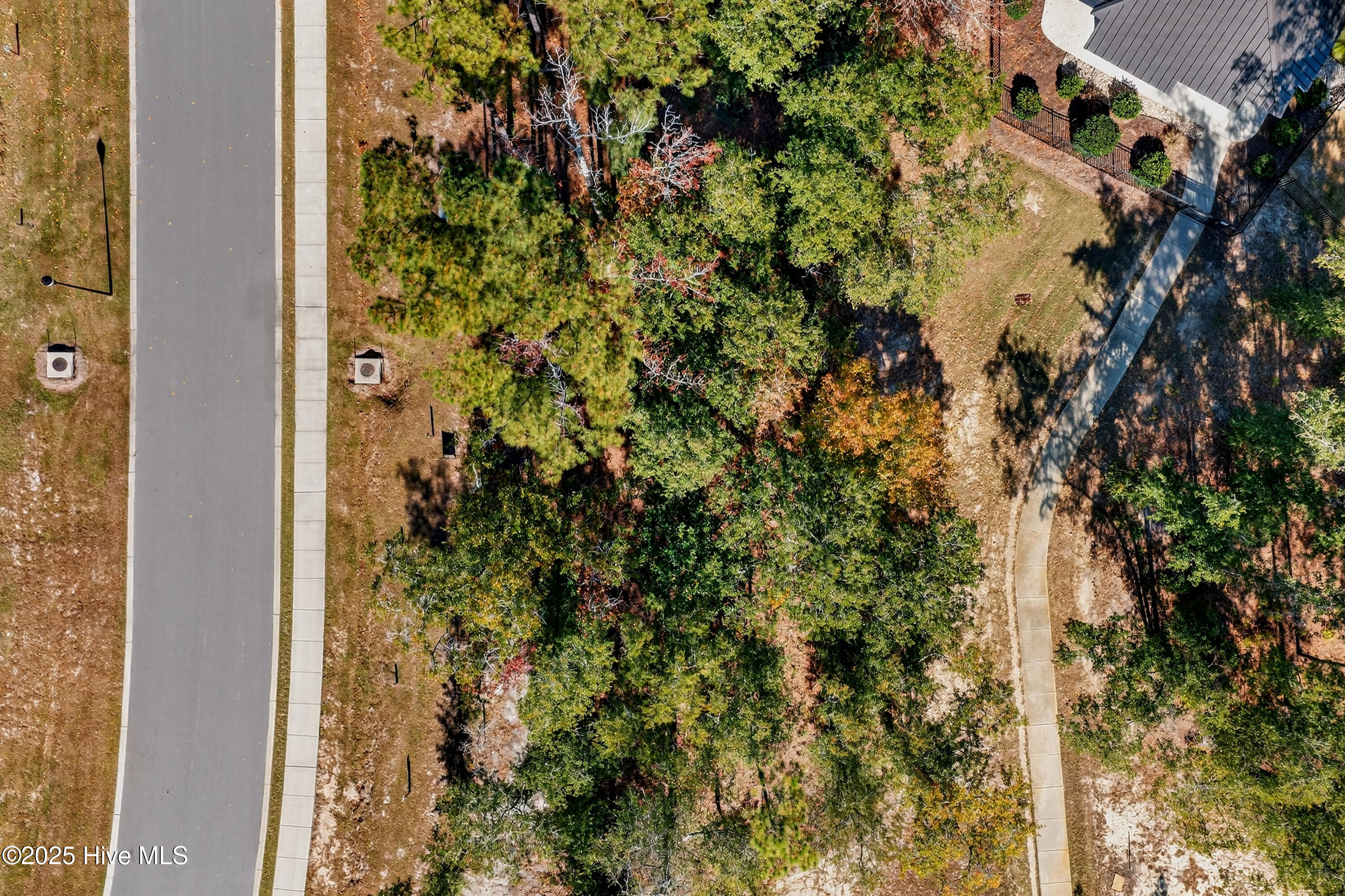 100541672 | Photo 14