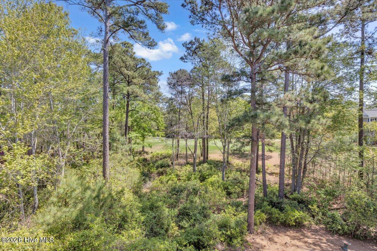 100566244 | Photo 42