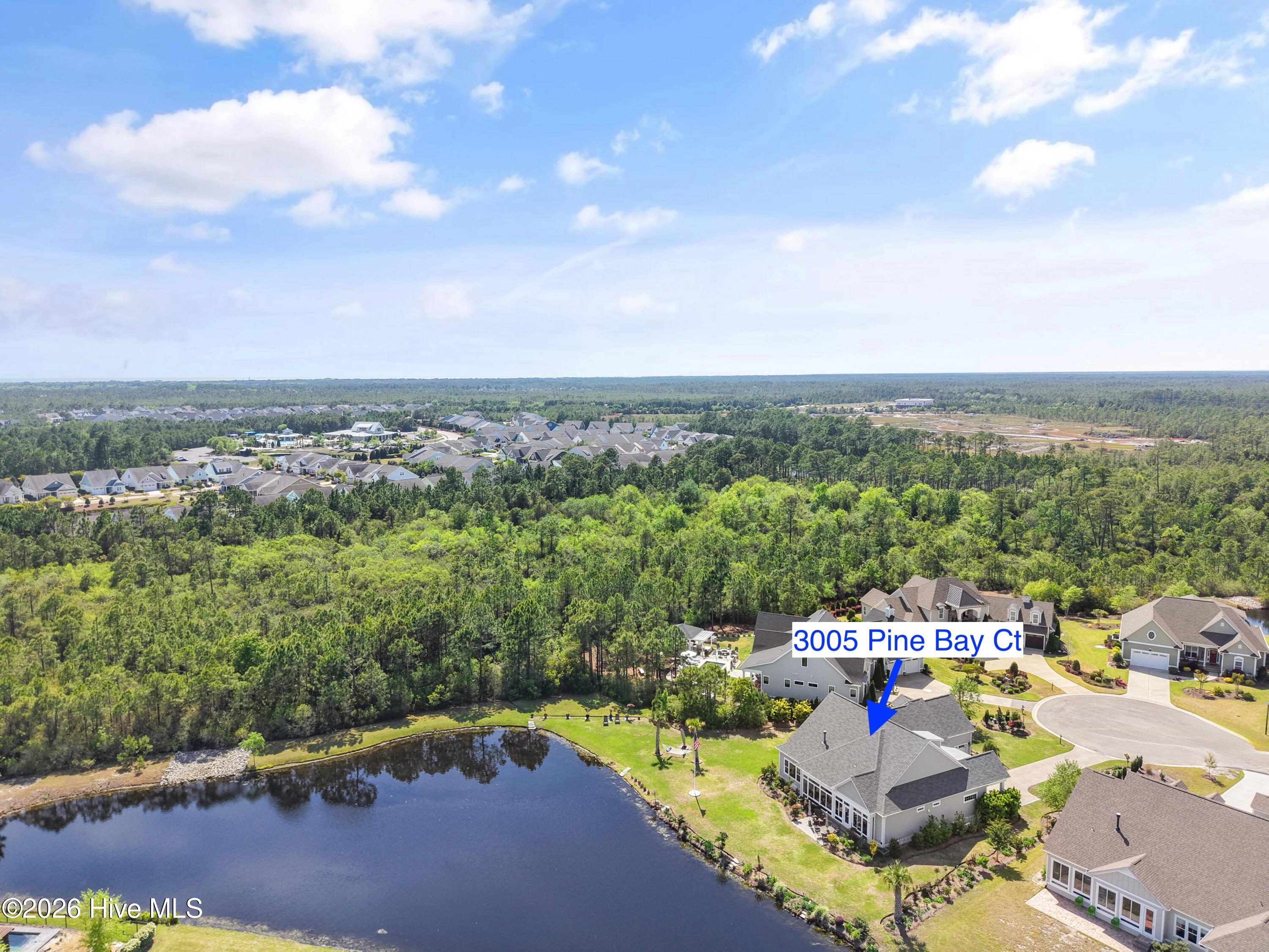 100560288 | Photo 103