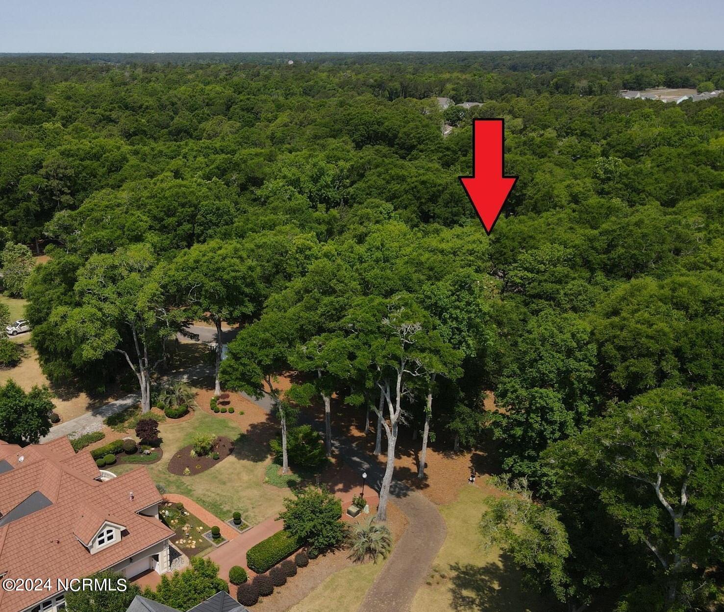 100454003 | Photo 12