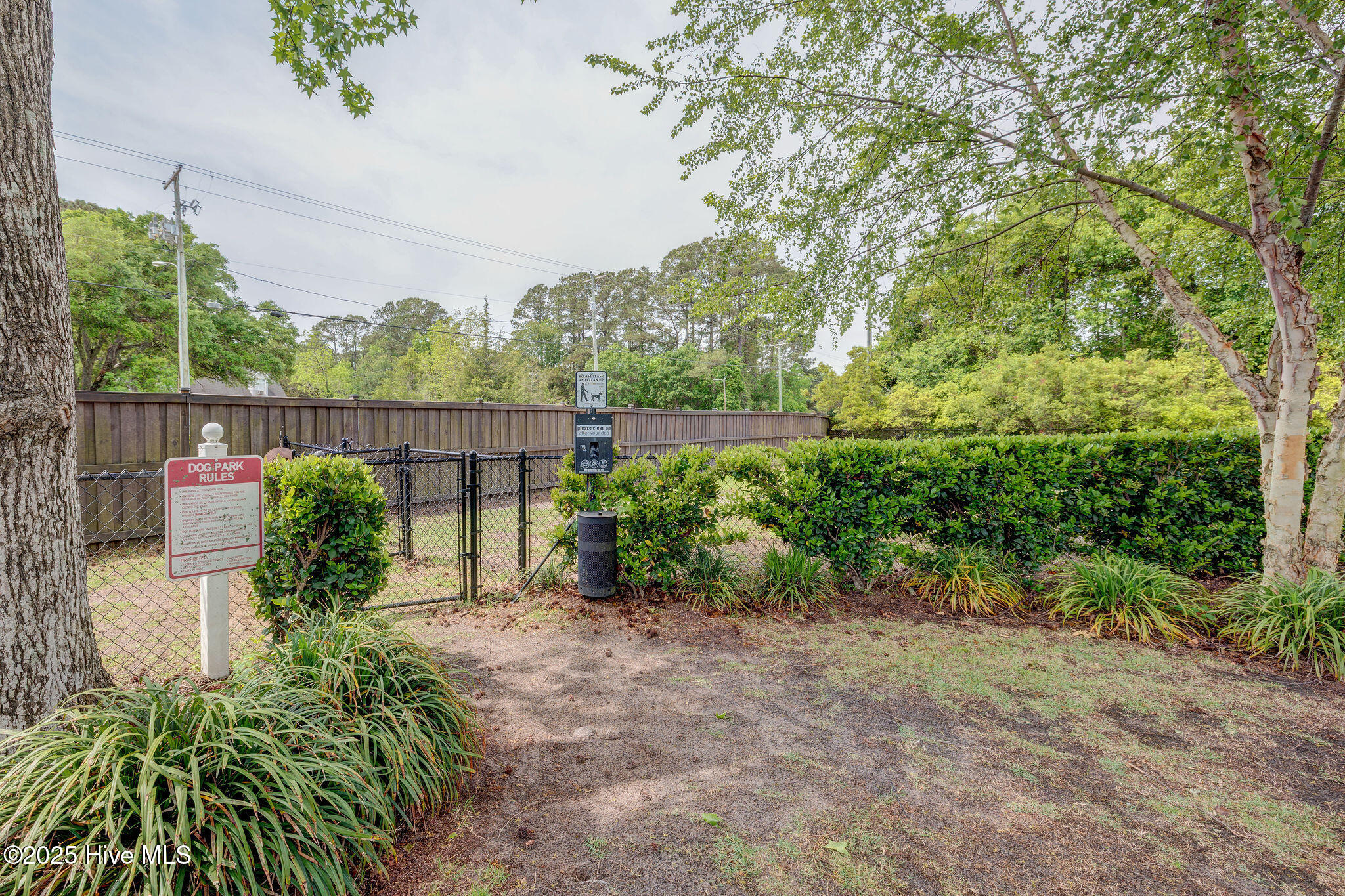 100529833 | Photo 56