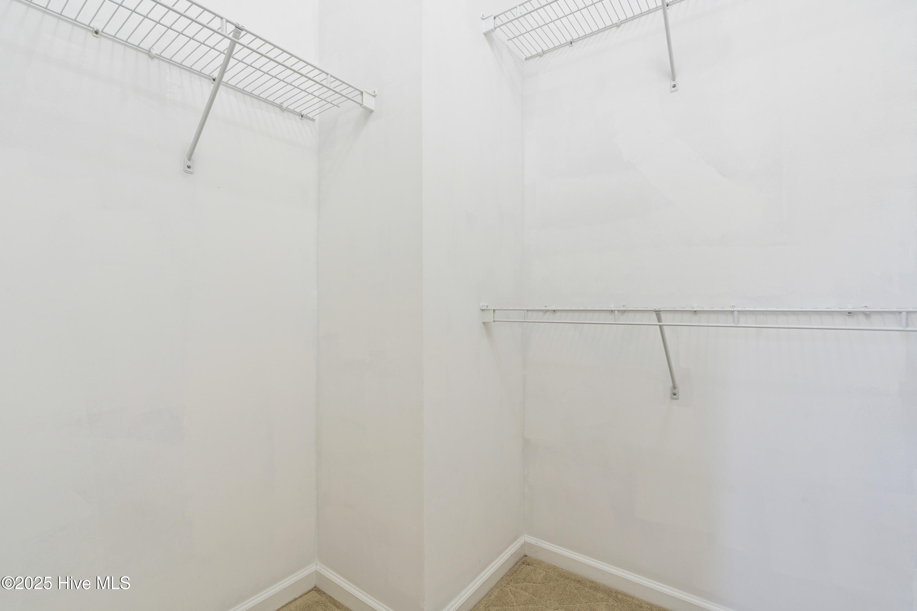 100541442 | Photo 22