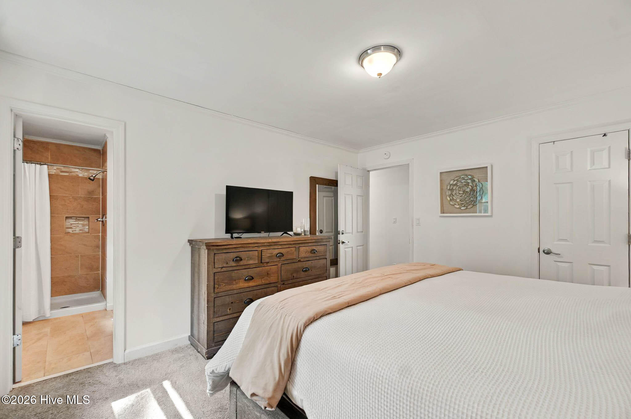 100556049 | Photo 51