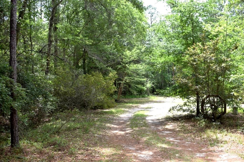 Homes for sale in Ellabell, GA | 2650 N Hwy 119, Ellabell, GA 31308 | MLS# SA356887