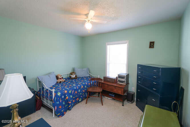 100552638 | Photo 14