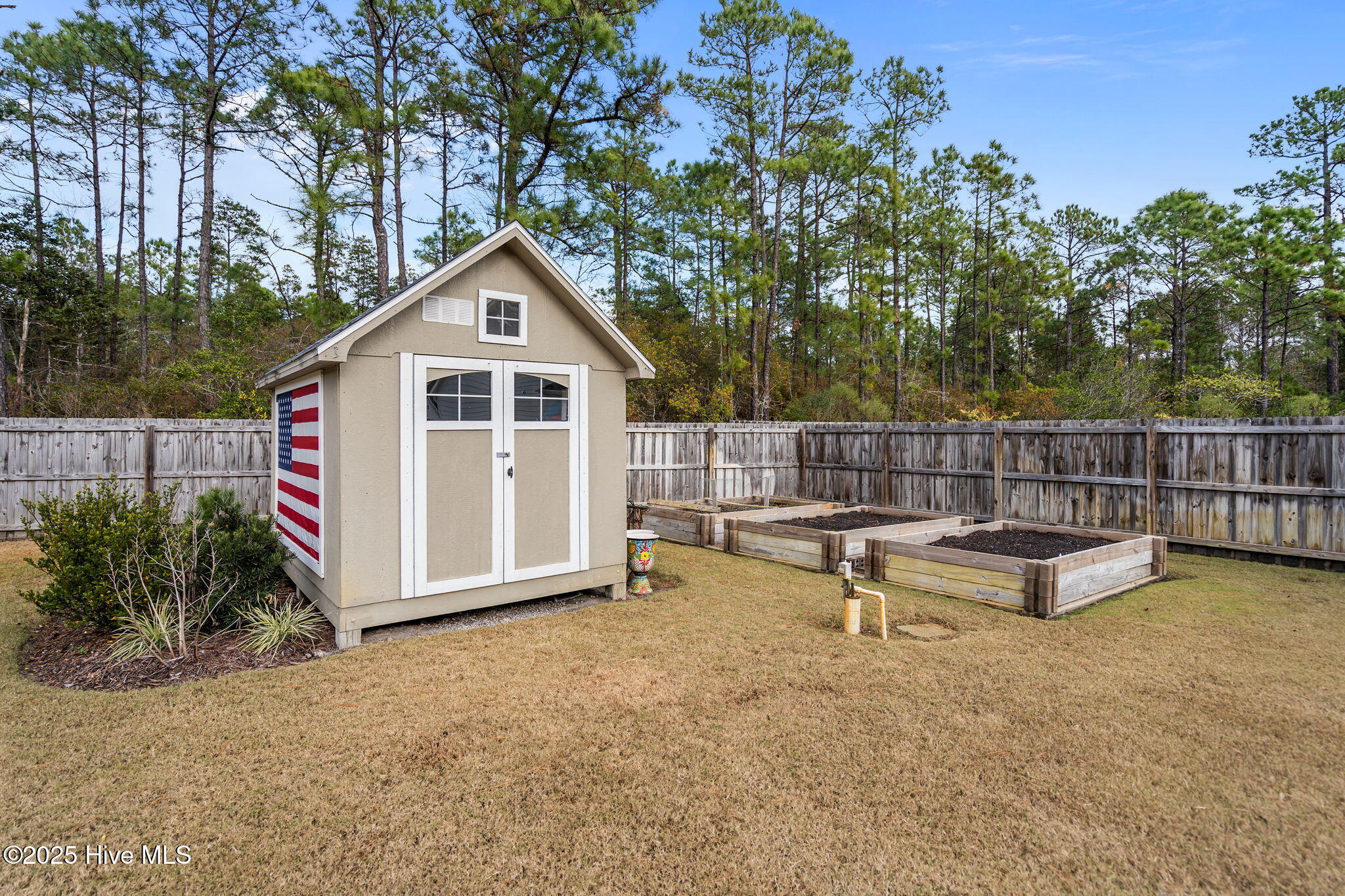 100543629 | Photo 50