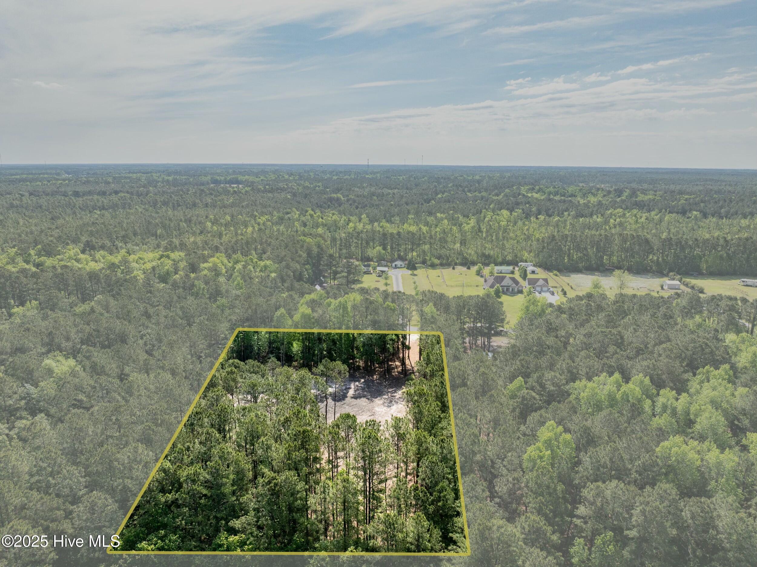 100503919 | Photo 15