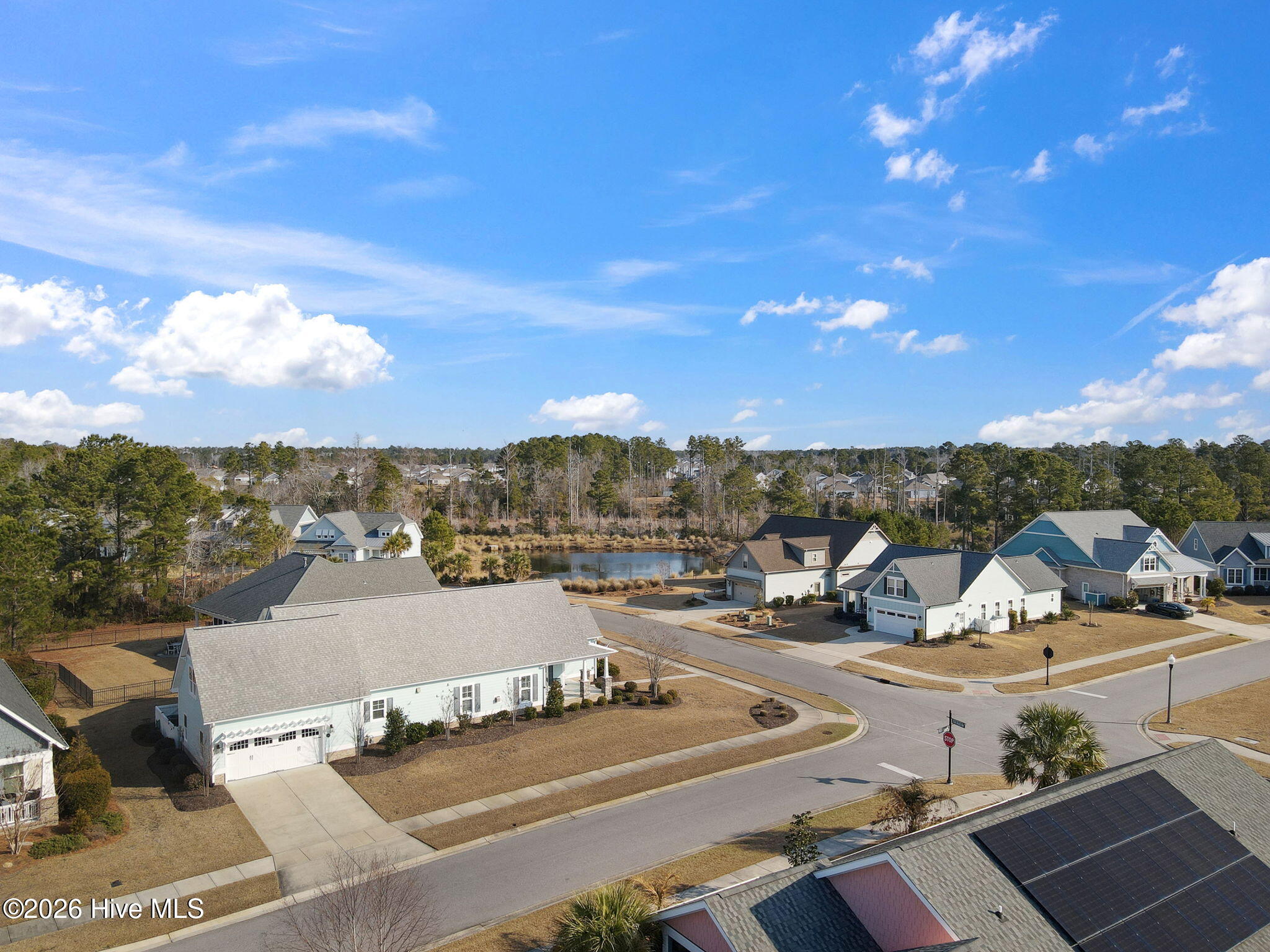 100554353 | Photo 59