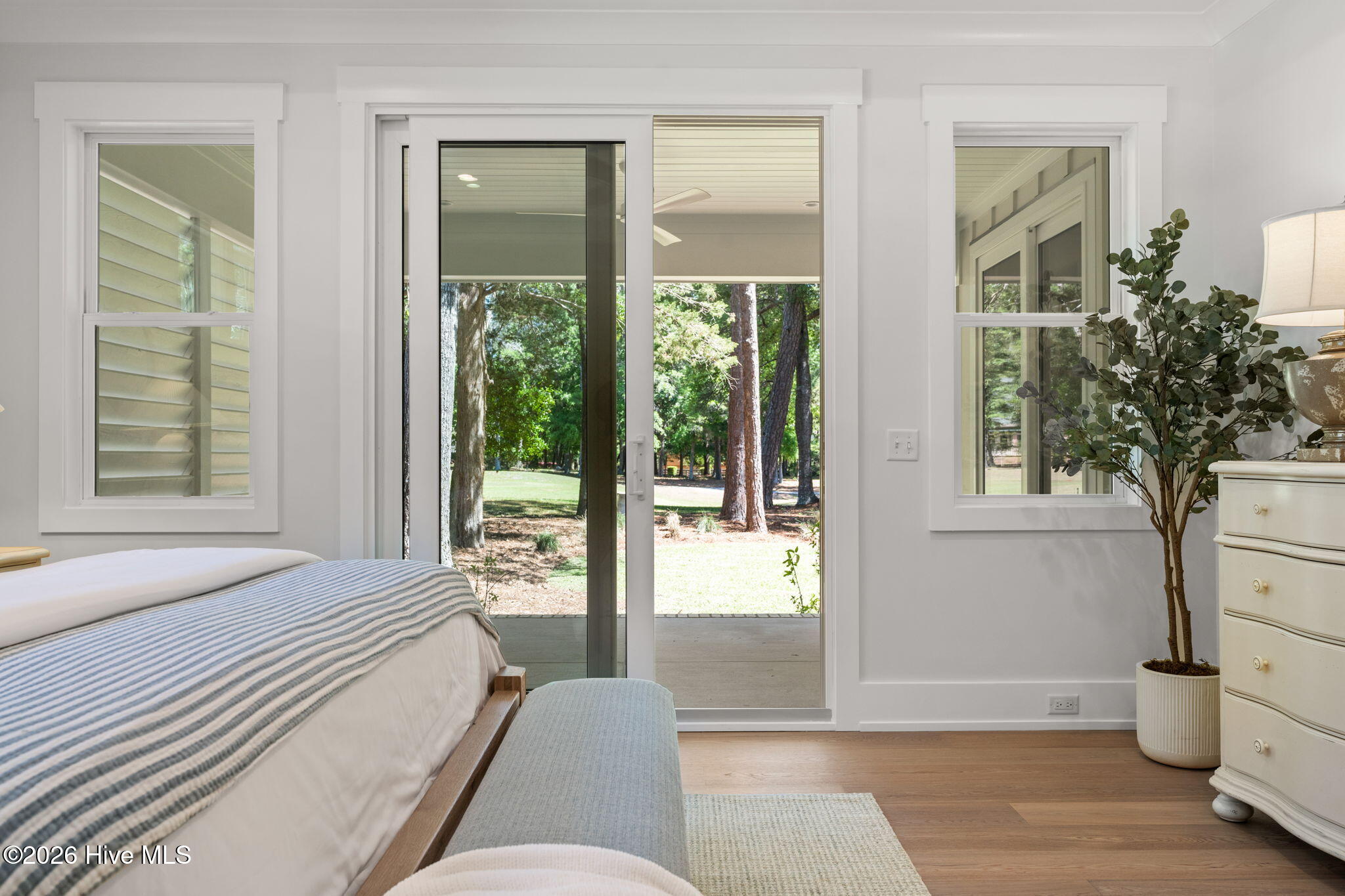 100568916 | Photo 29