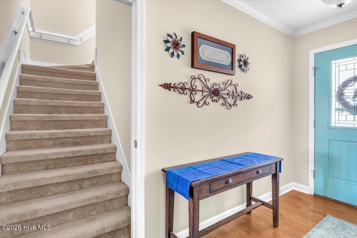 100567099 | Photo 43