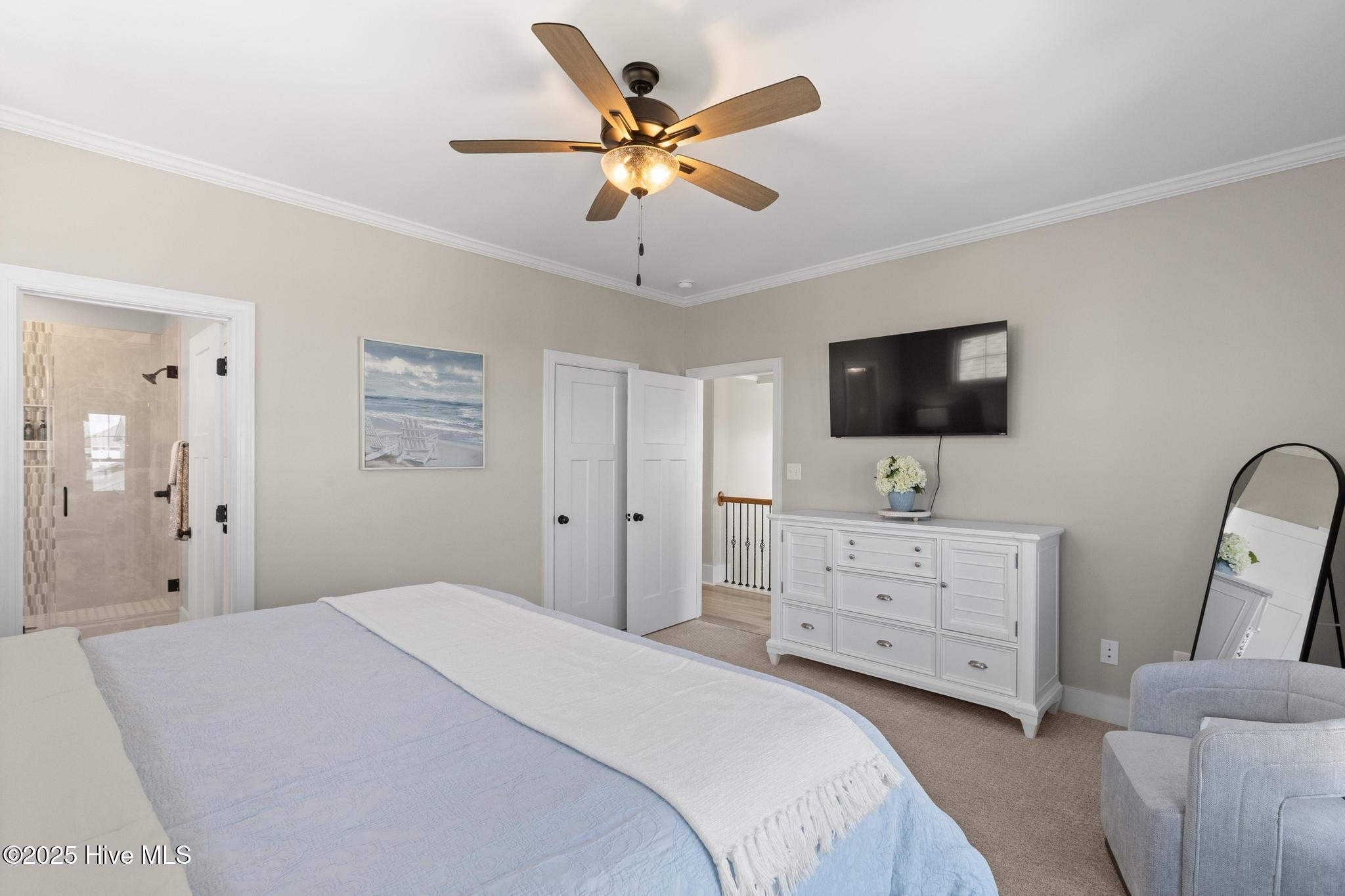 100498543 | Photo 53