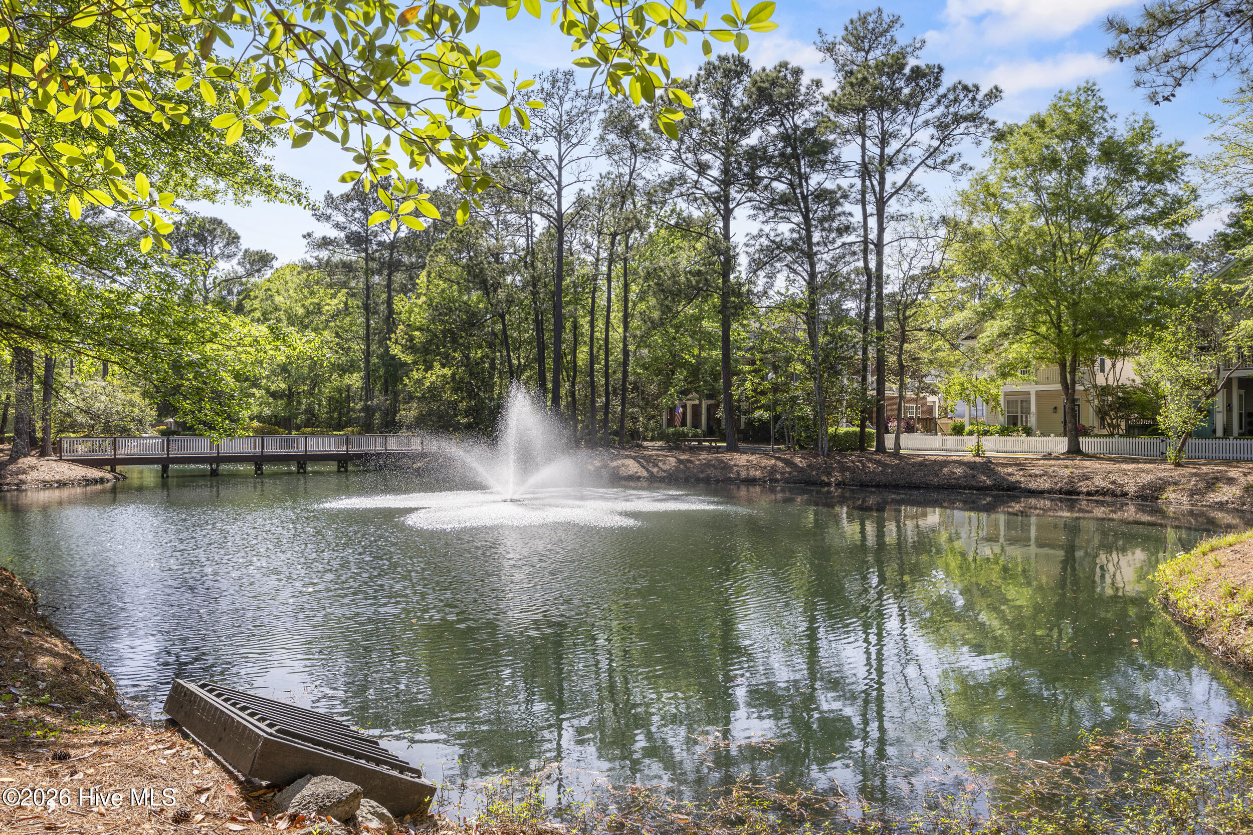 100567913 | Photo 50