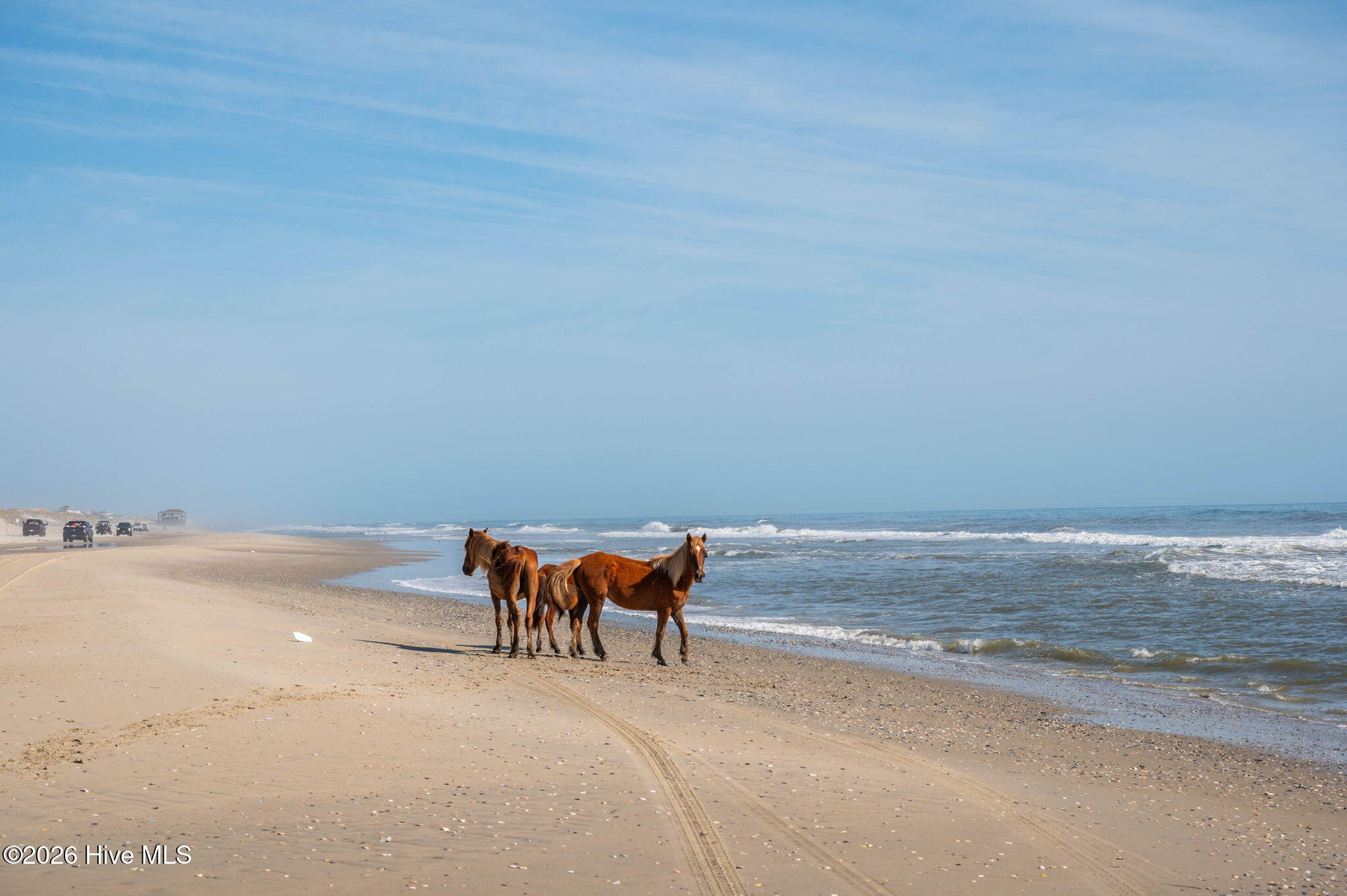 2088 Sandpiper Road, Corolla, NC, 27927