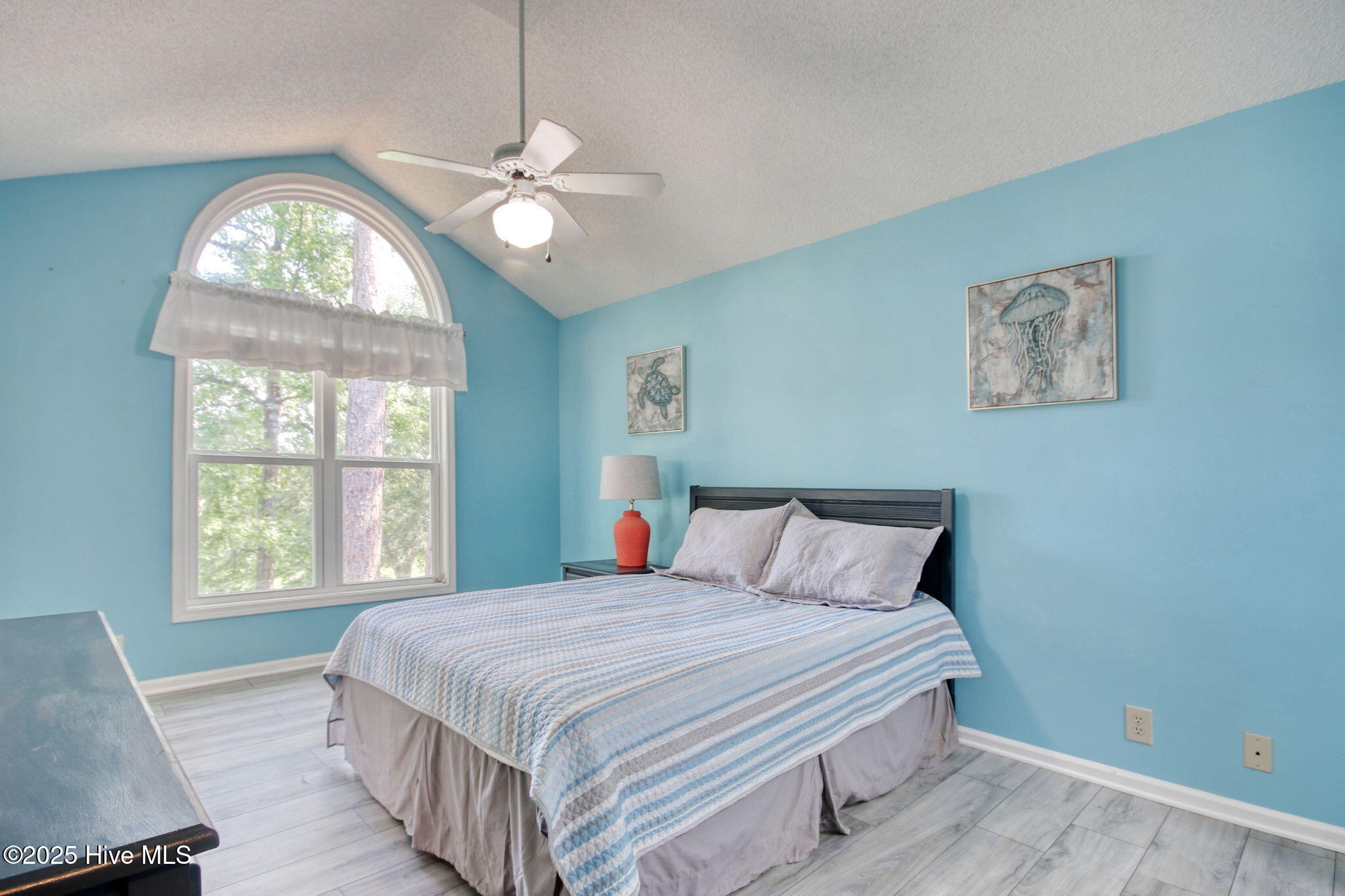 100528000 | Photo 10