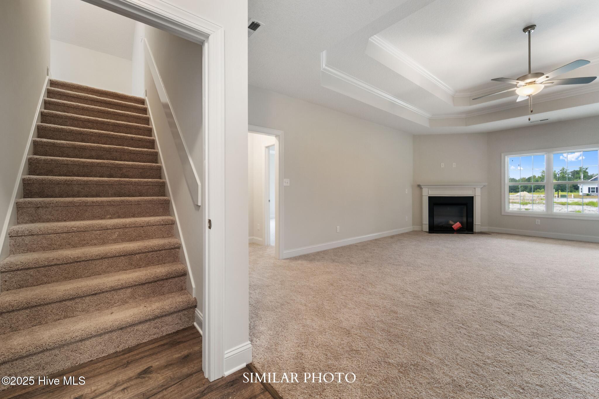 100546139 | Photo 30