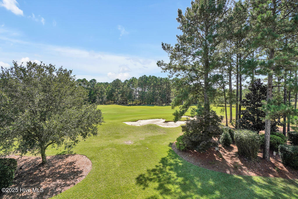 100535984 | Photo 51