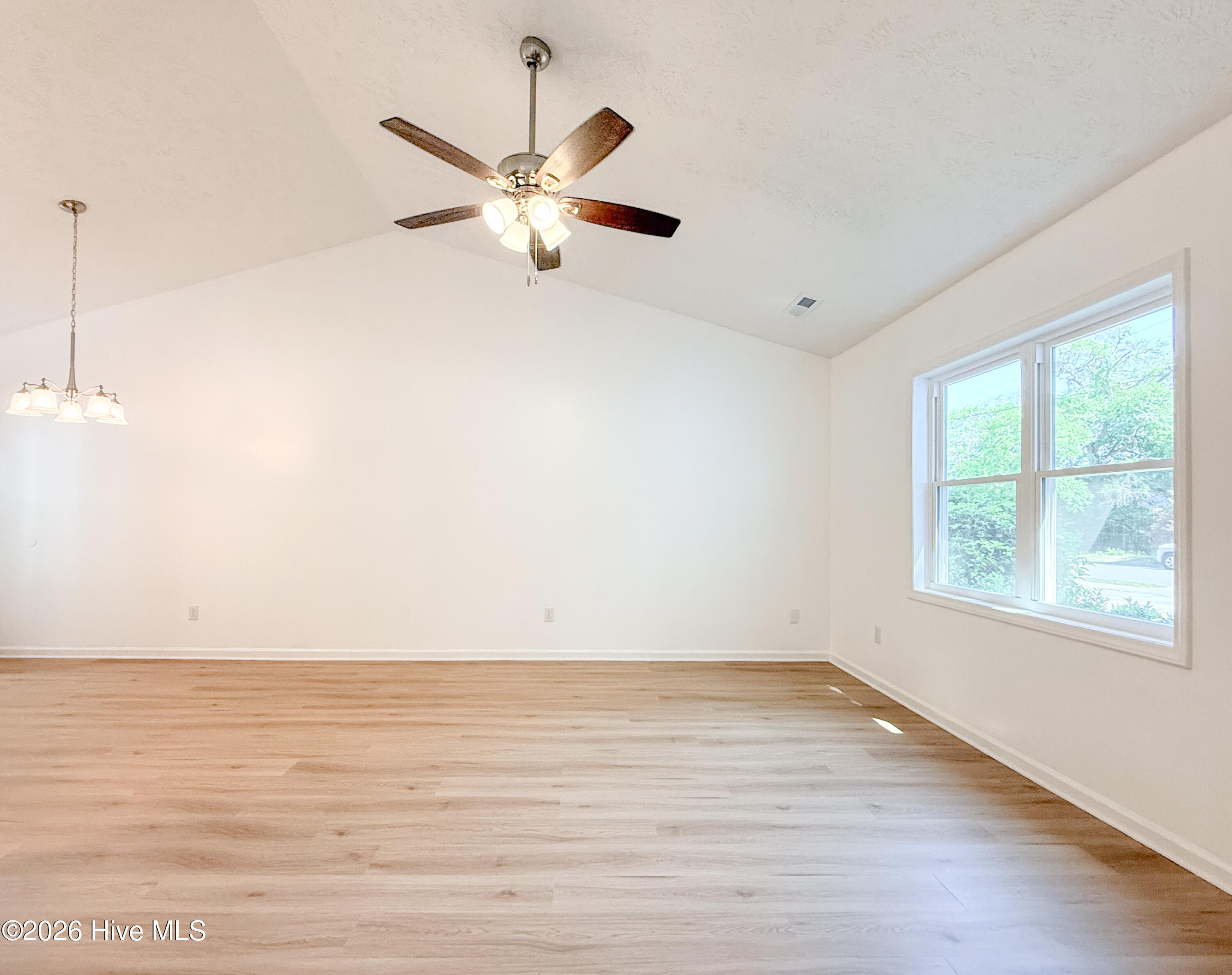 100568255 | Photo 13