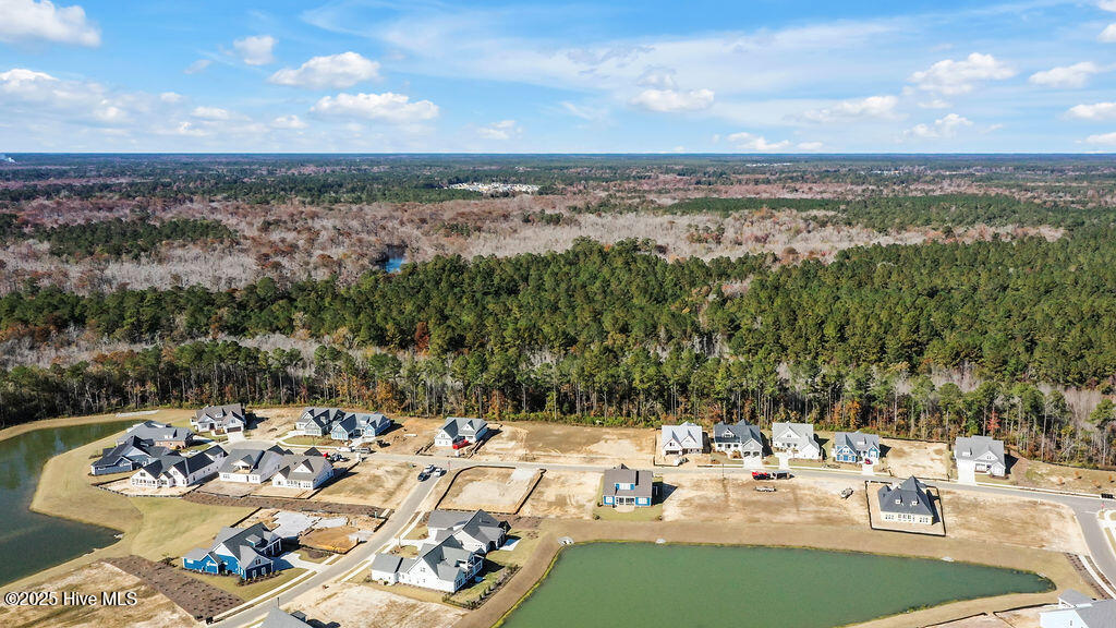 100540806 | Photo 13