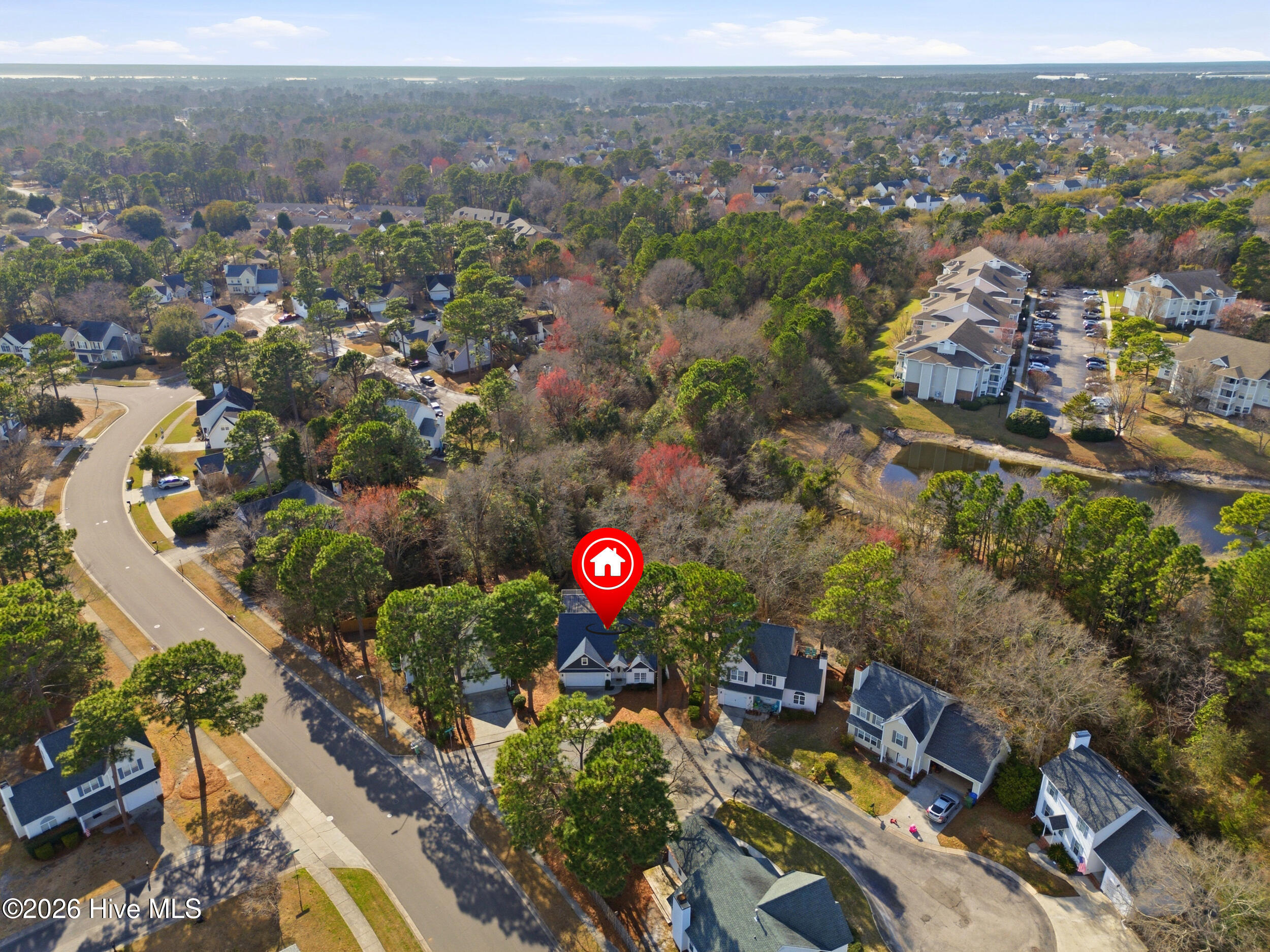 100558616 | Photo 36