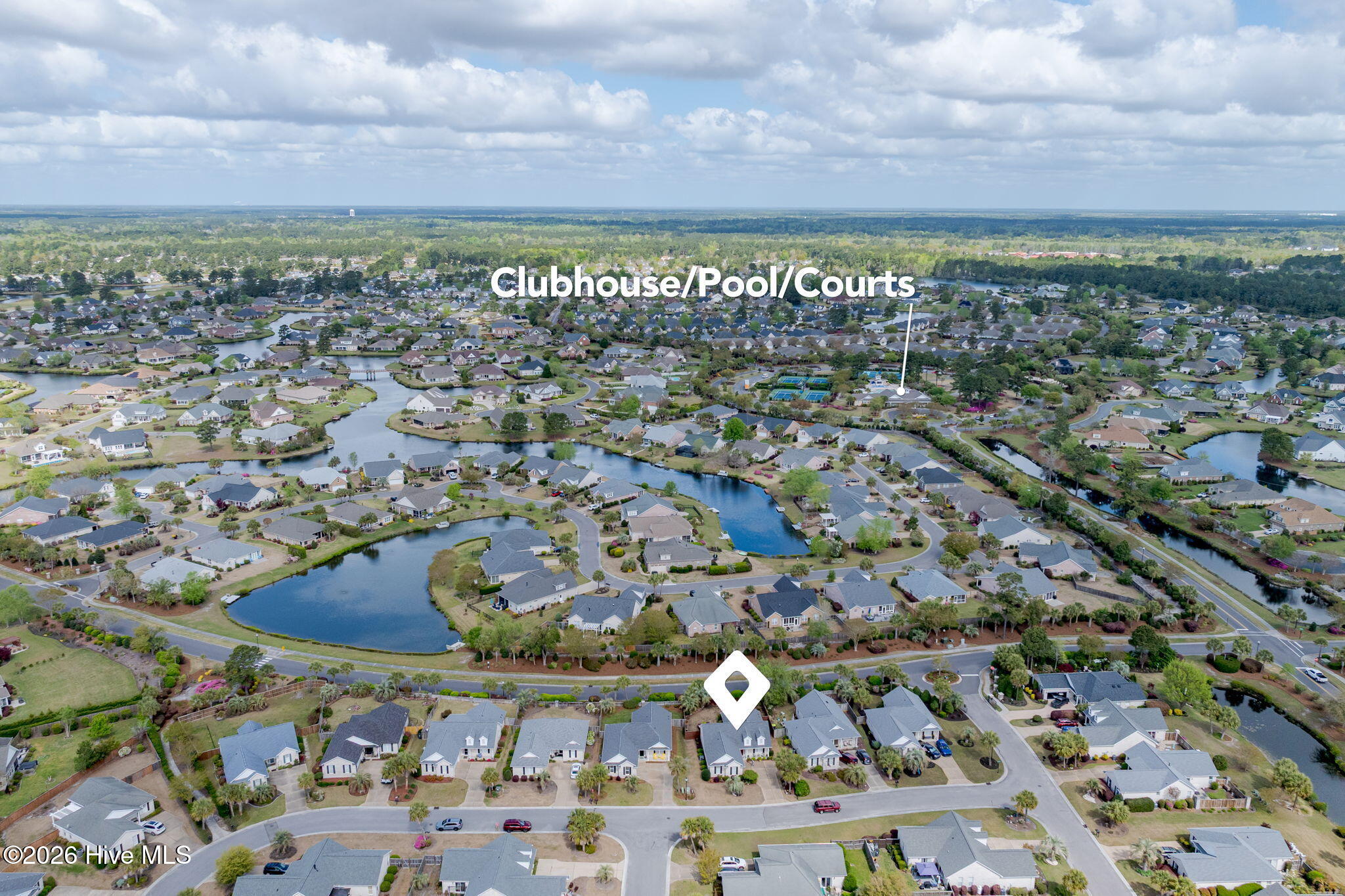 100564591 | Photo 40