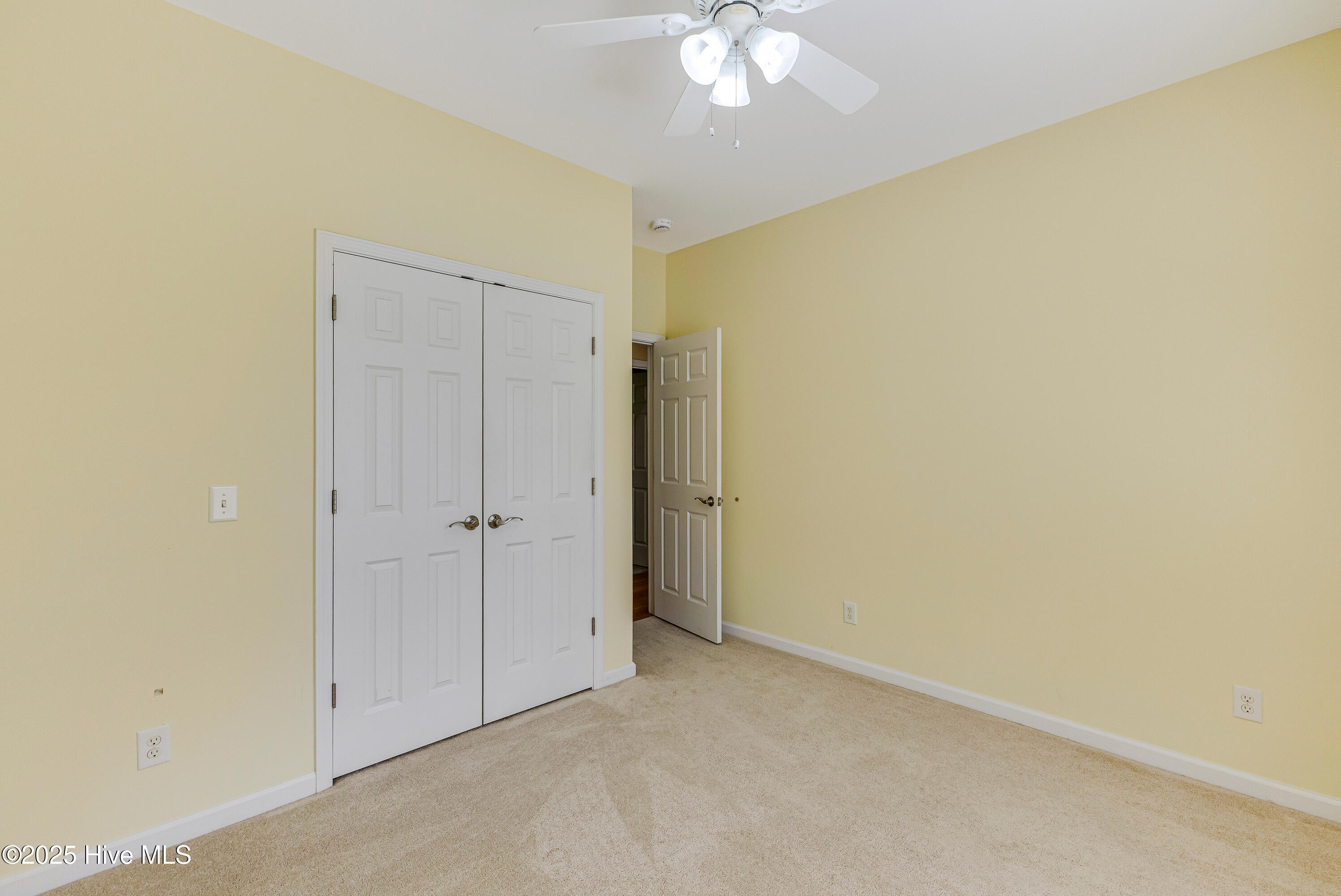 100535789 | Photo 21