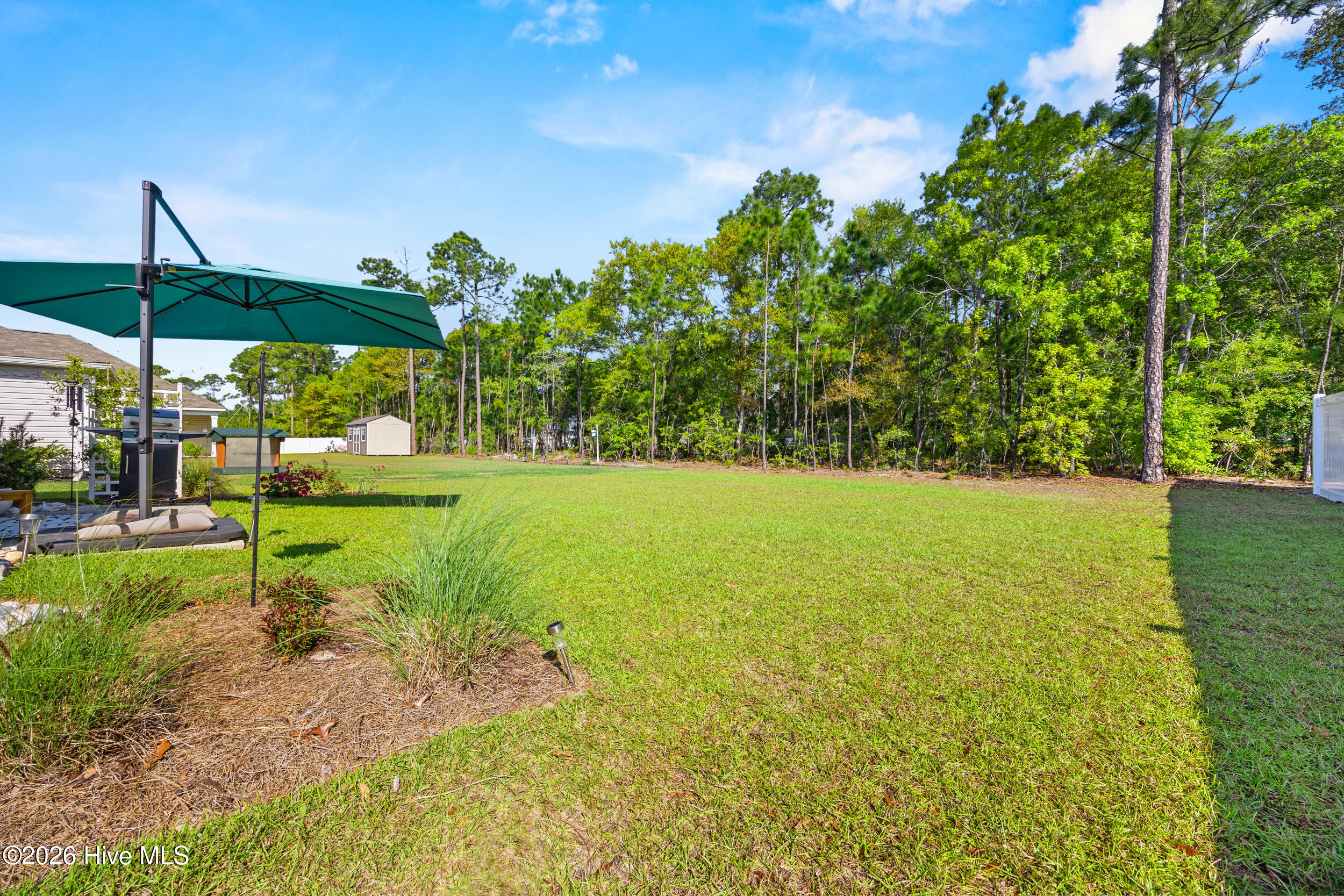 100567643 | Photo 37