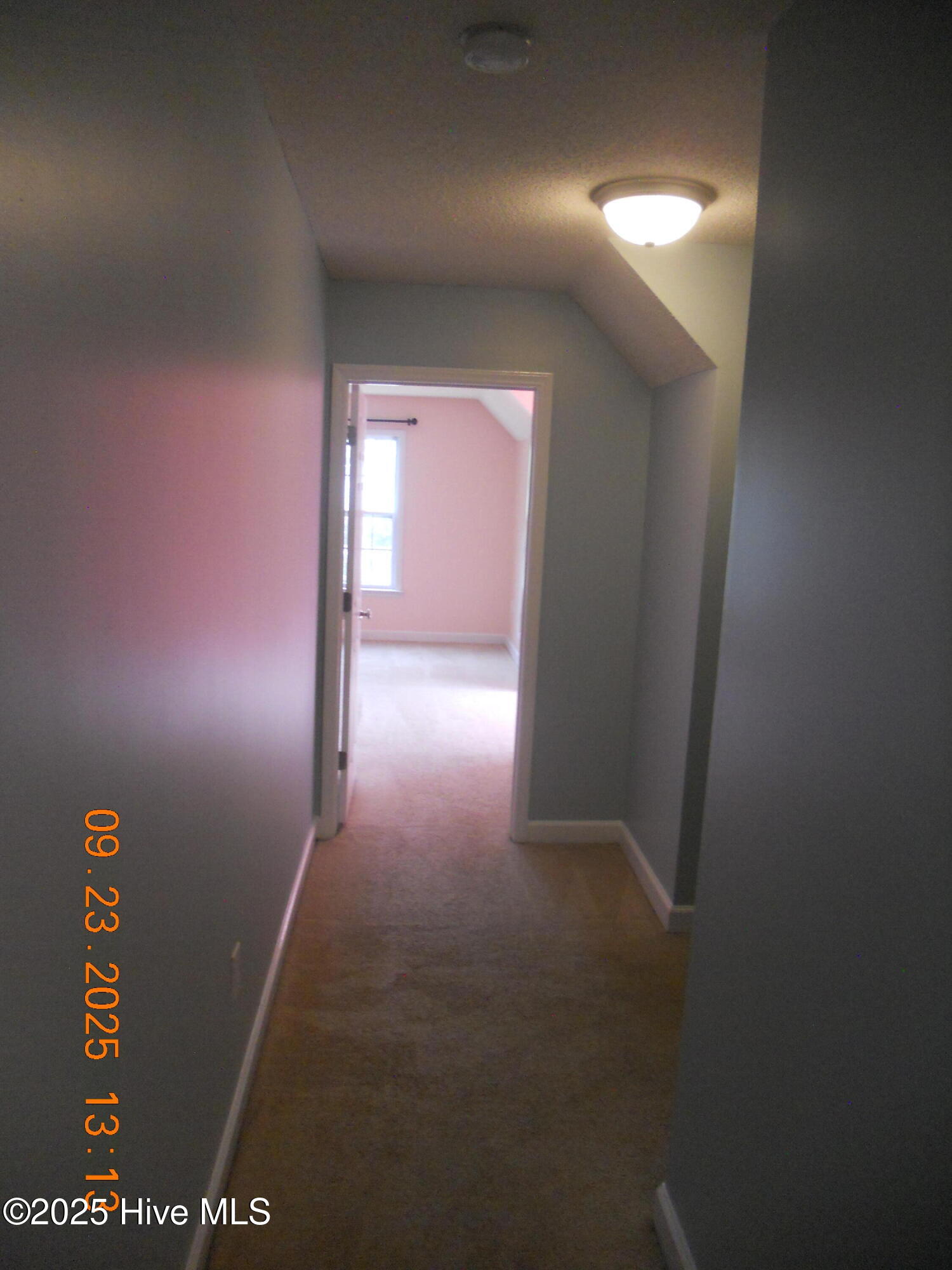 100532351 | Photo 41