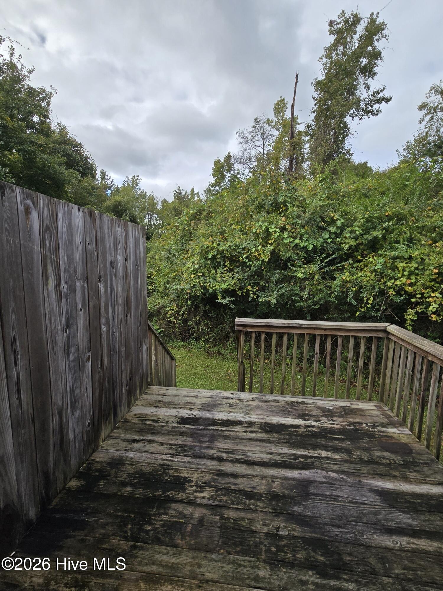 100566980 | Photo 10