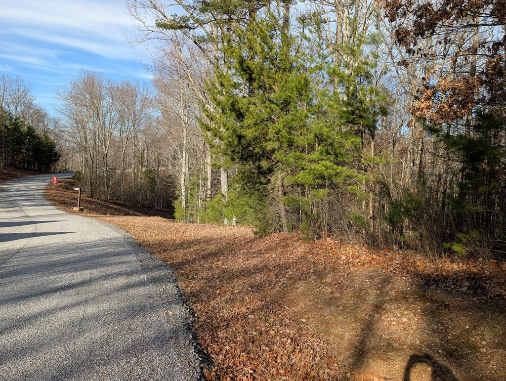 Exterior photo of Lot 20 20 Wilderness Creek Way, Murphy, NC 28906. MLS: 98525107