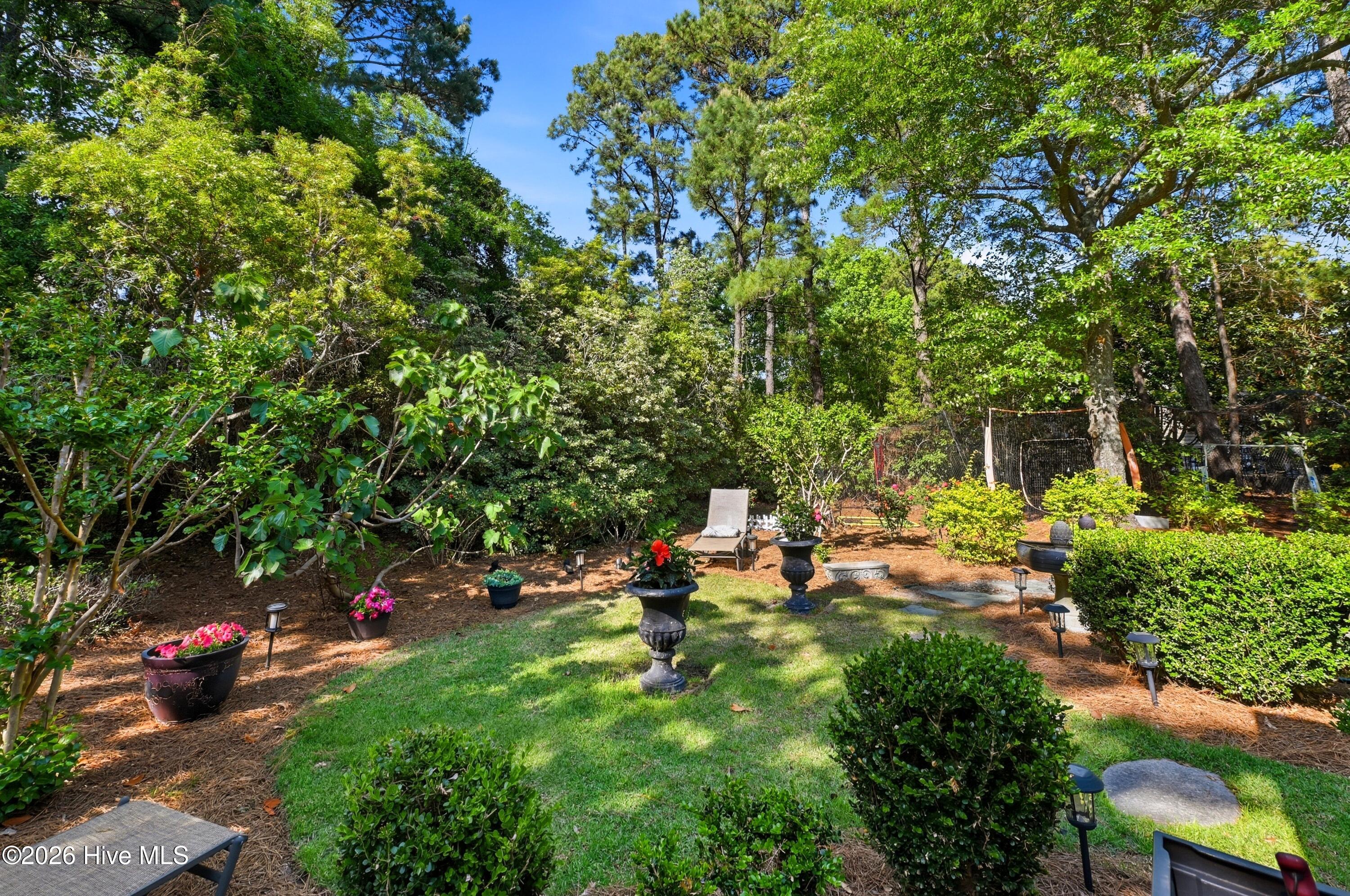 100567999 | Photo 44