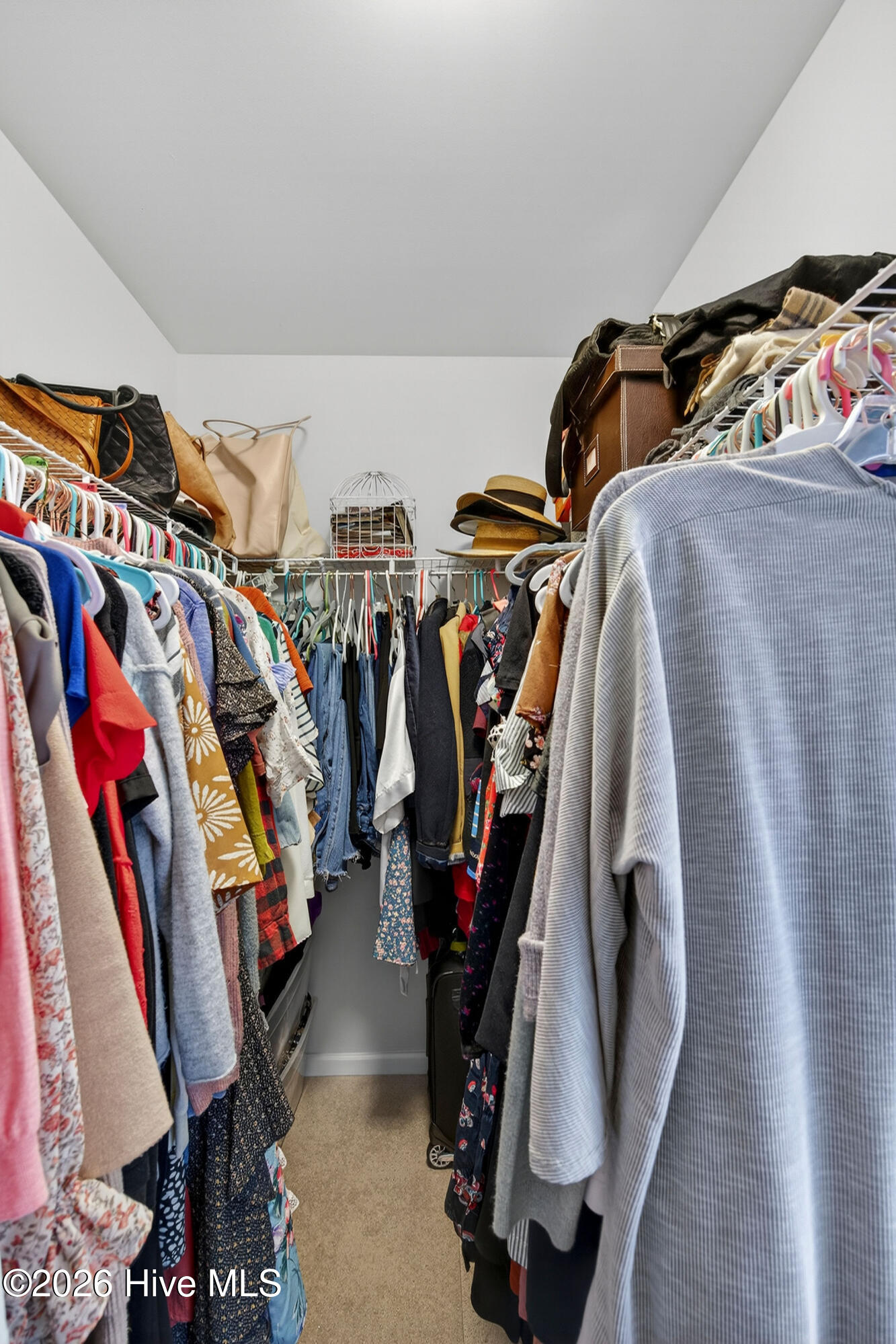 100562313 | Photo 48