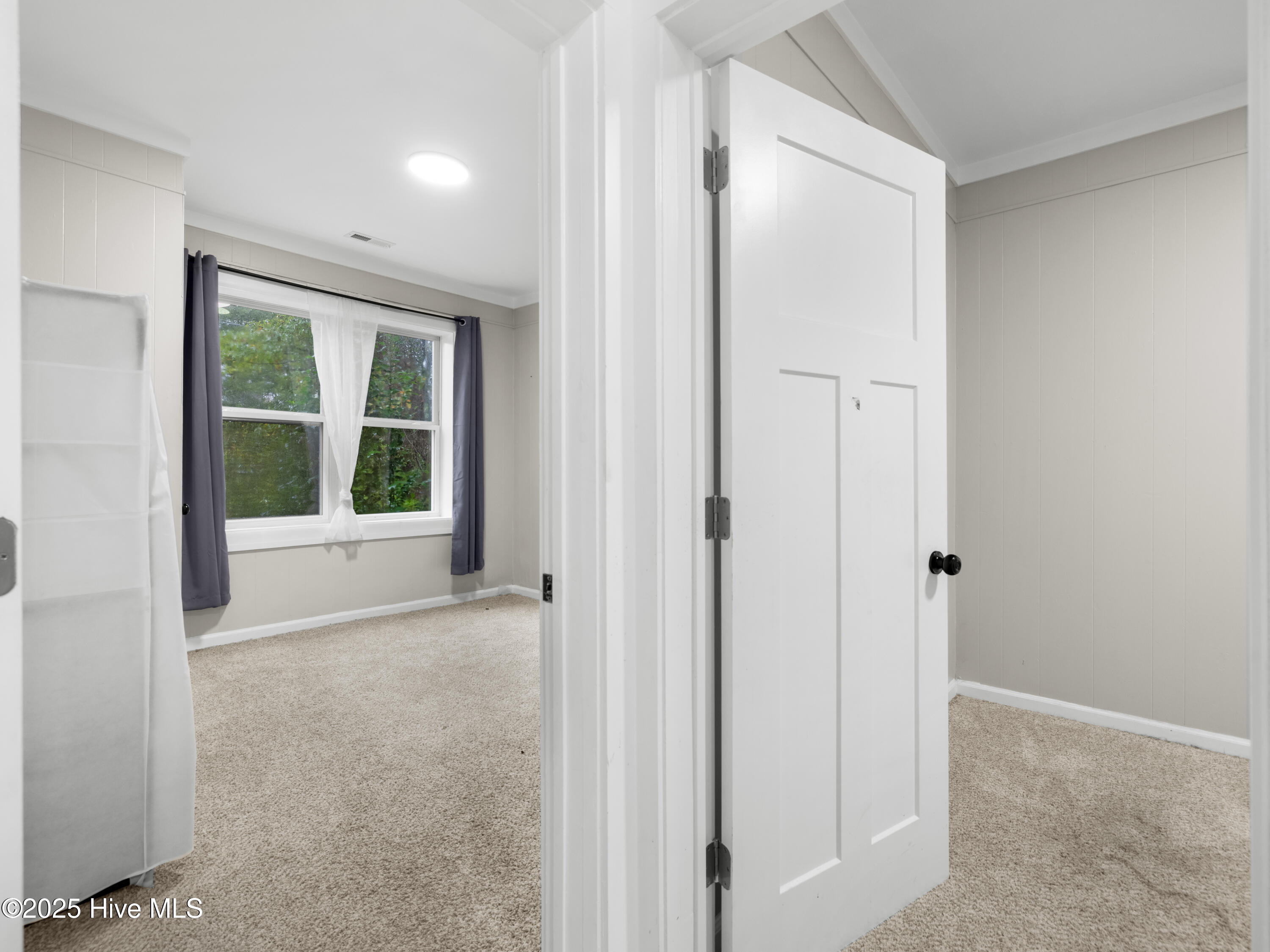 100544589 | Photo 22