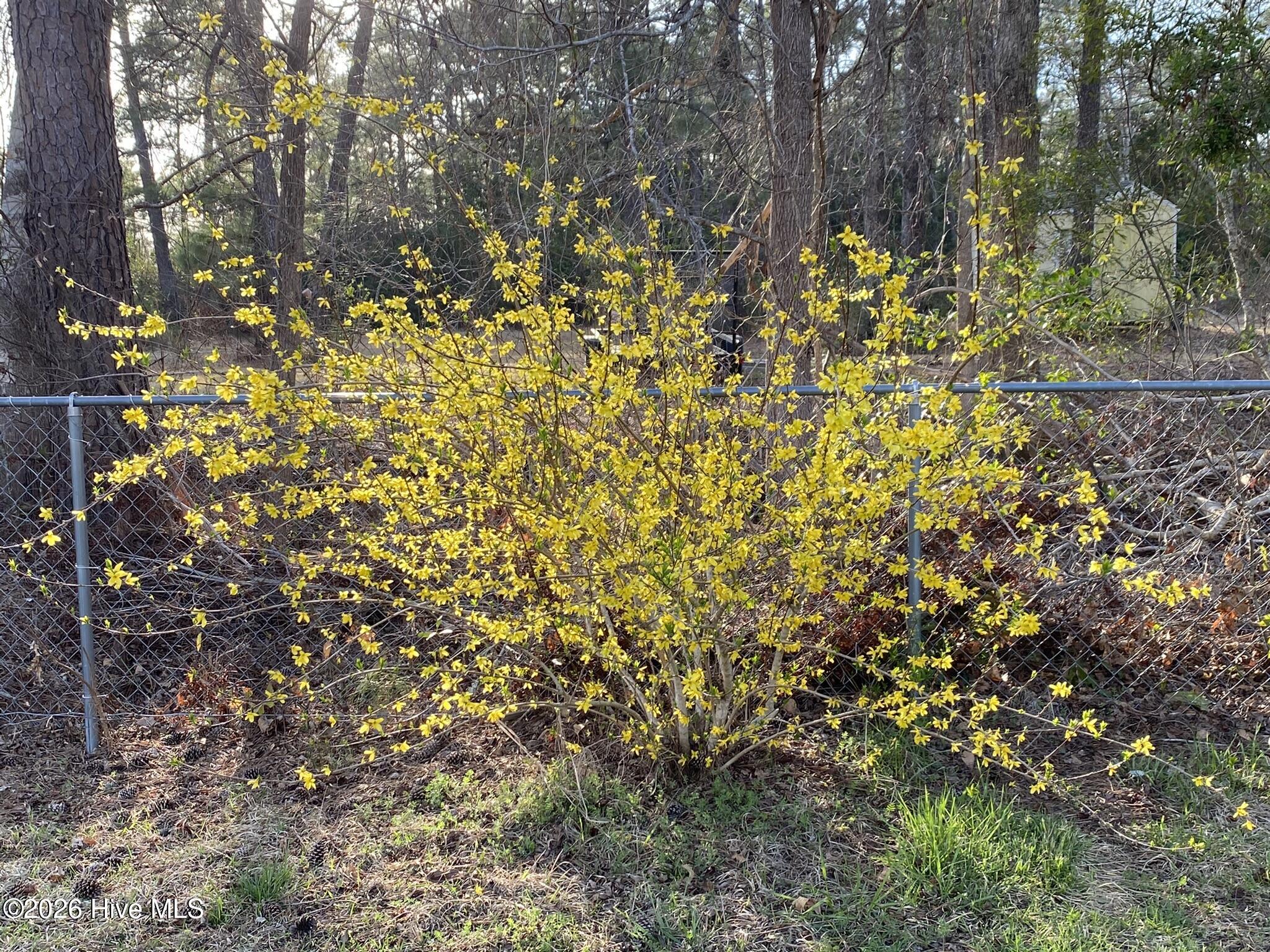 60th image of 540 Meadow Ln, Burgaw, NC 28425 | MLS# 100597305