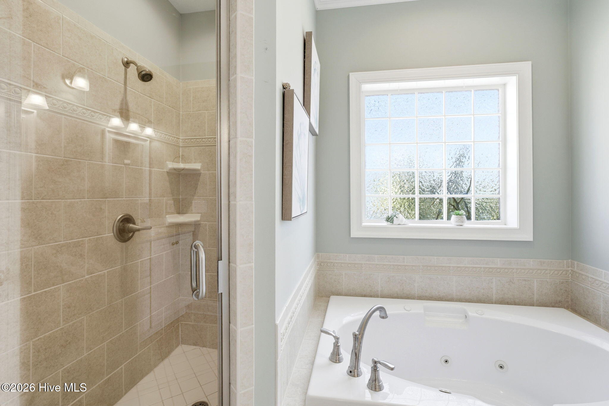 100559880 | Photo 26