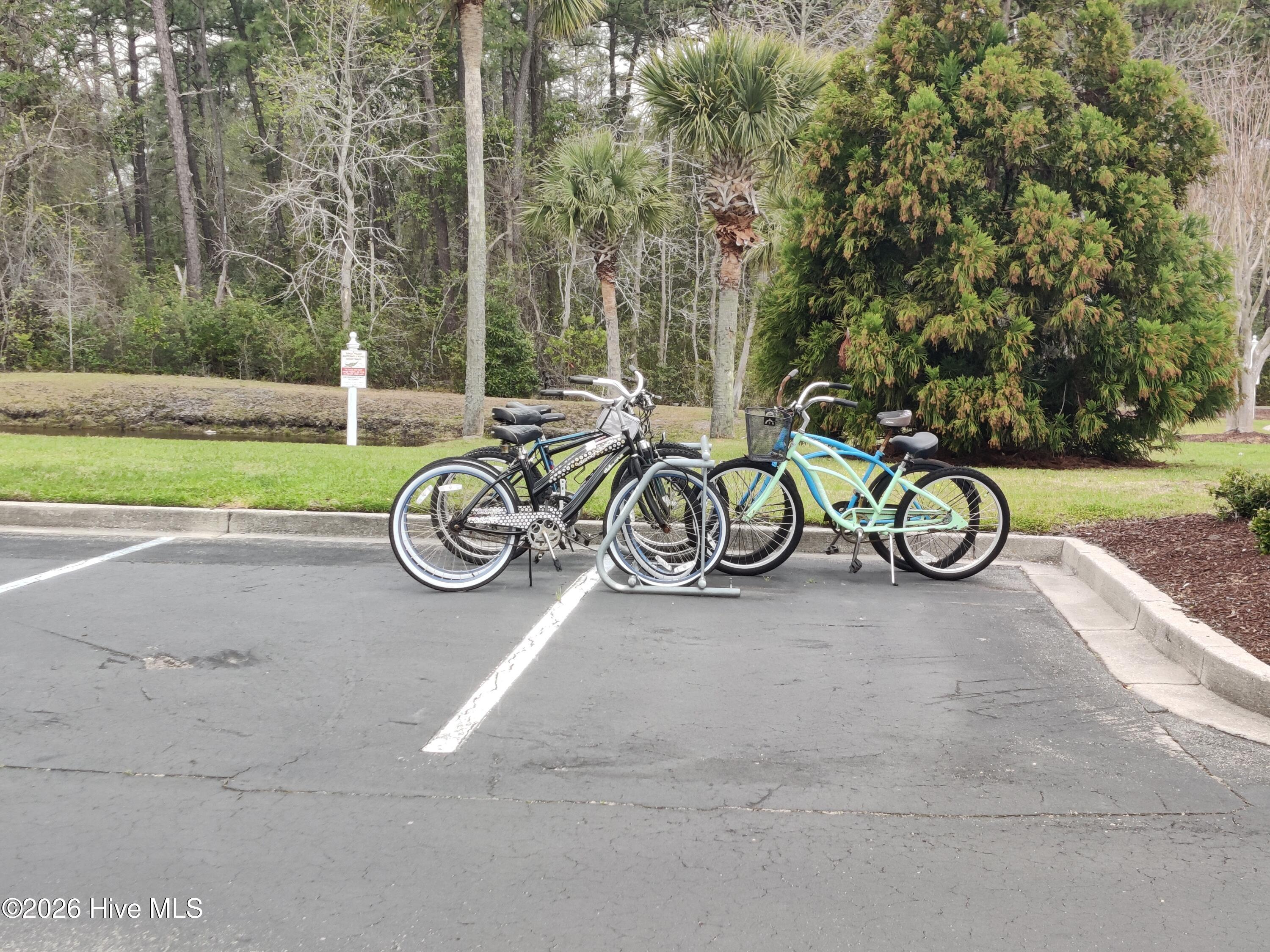 100560065 | Photo 27