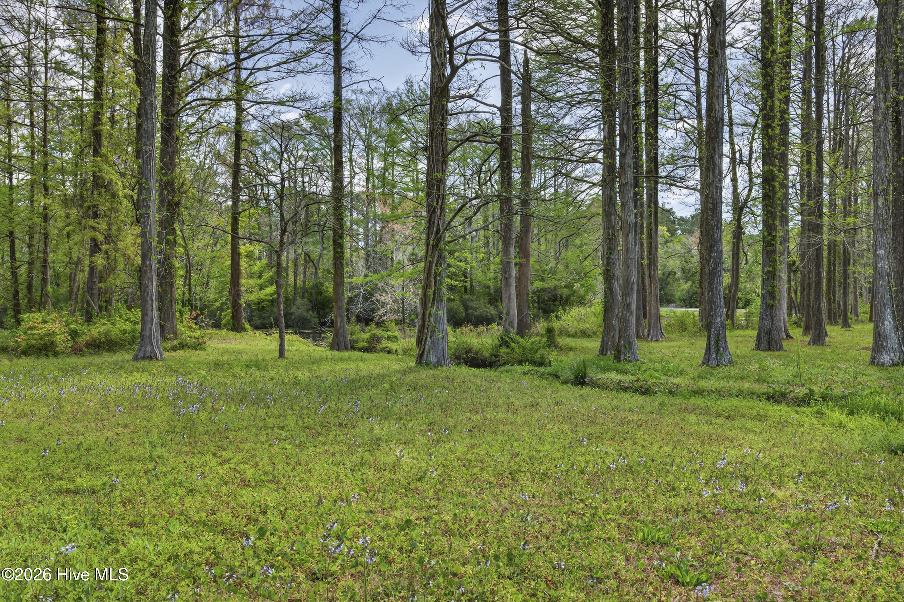 100564526 | Photo 53