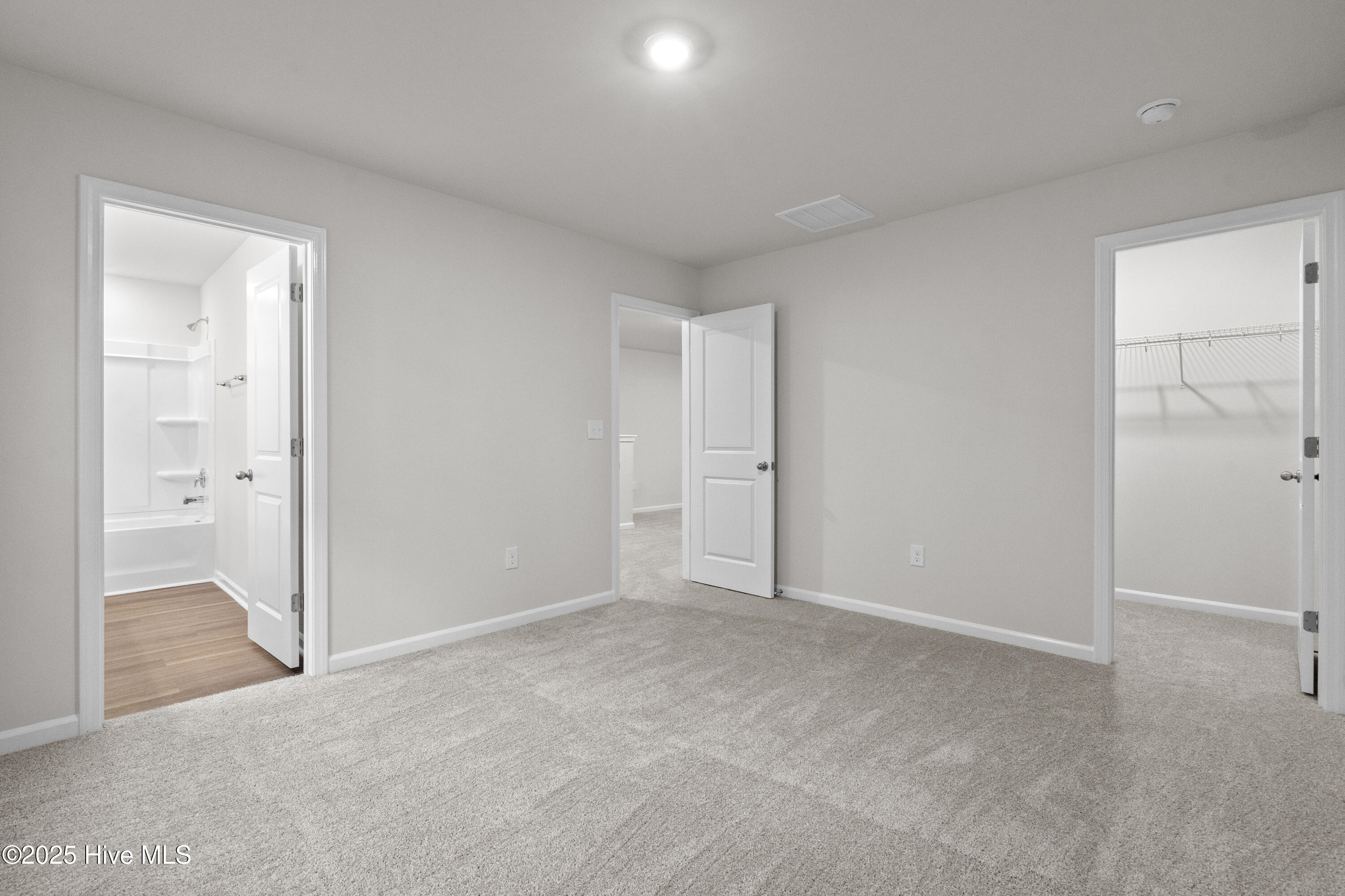 100514545 | Photo 25