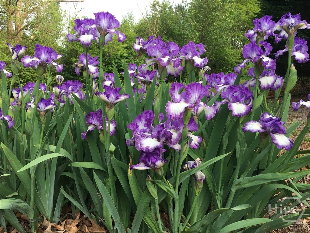 1071 Waterford Court, Watkinsville, GA, 30677