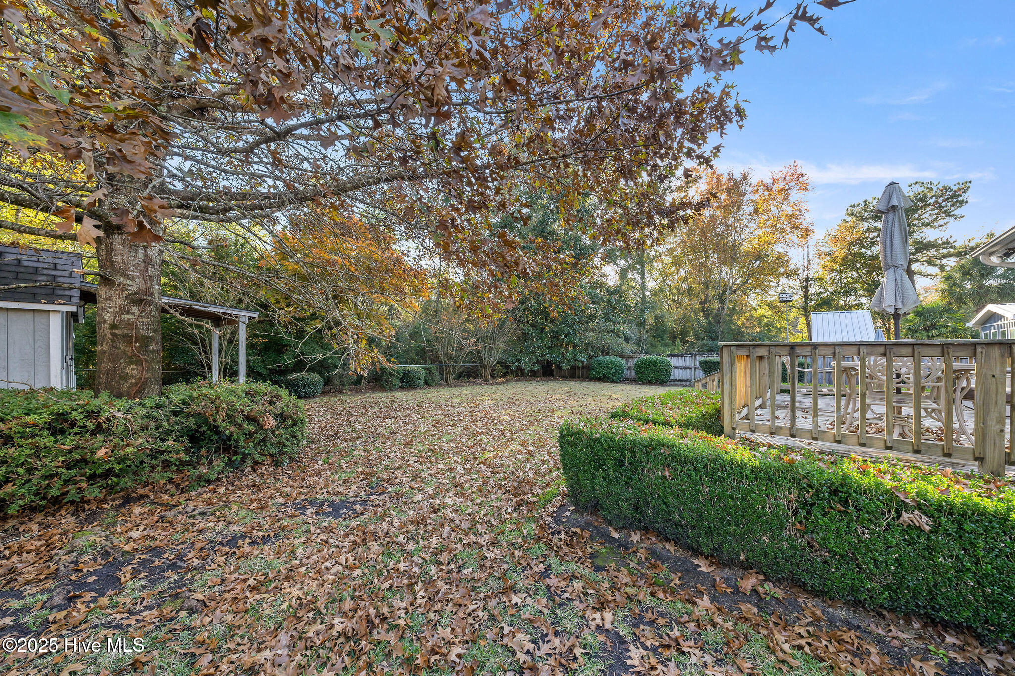 100542635 | Photo 42