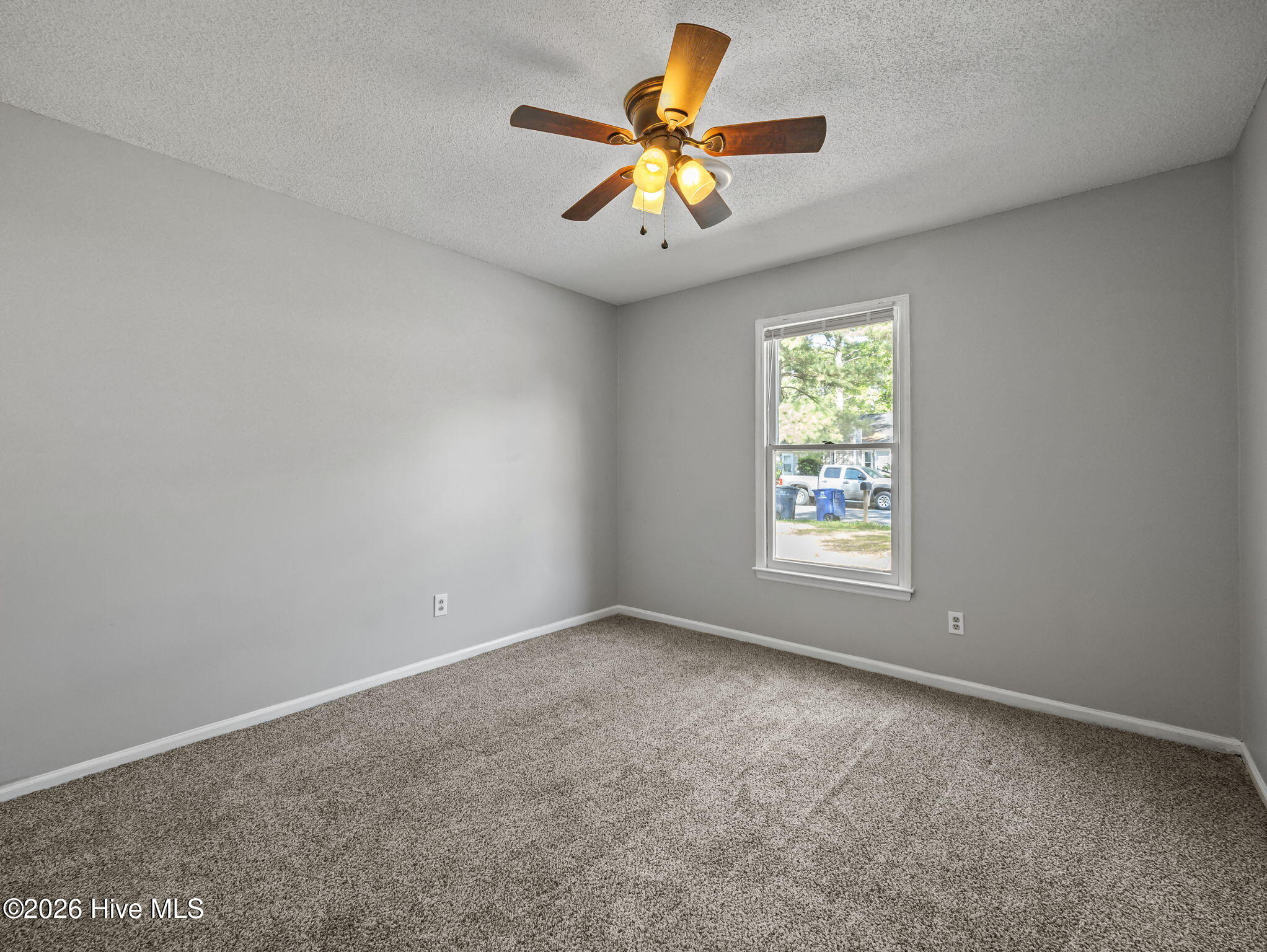 100560732 | Photo 13