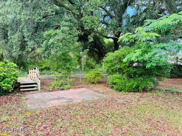 100547185 | Photo 30