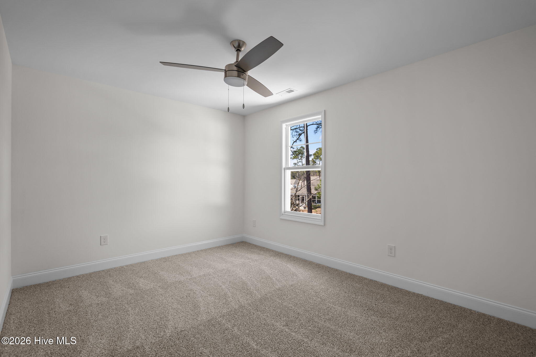 100528702 | Photo 34