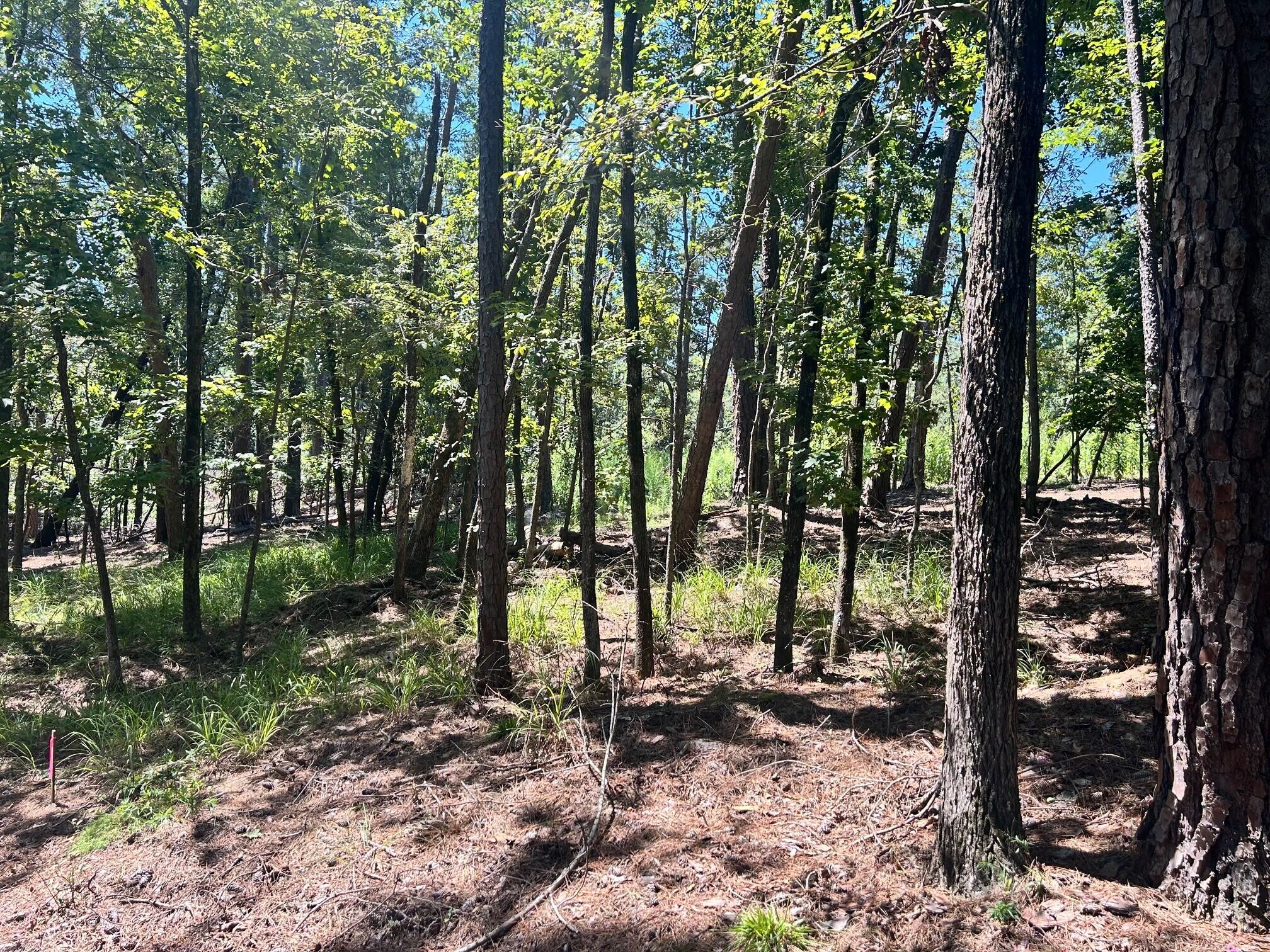 2nd image of 1109 Castle Rd, Grovetown, GA 30813 | MLS# 98224863