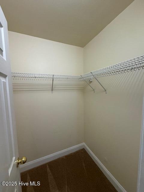 100548355 | Photo 12